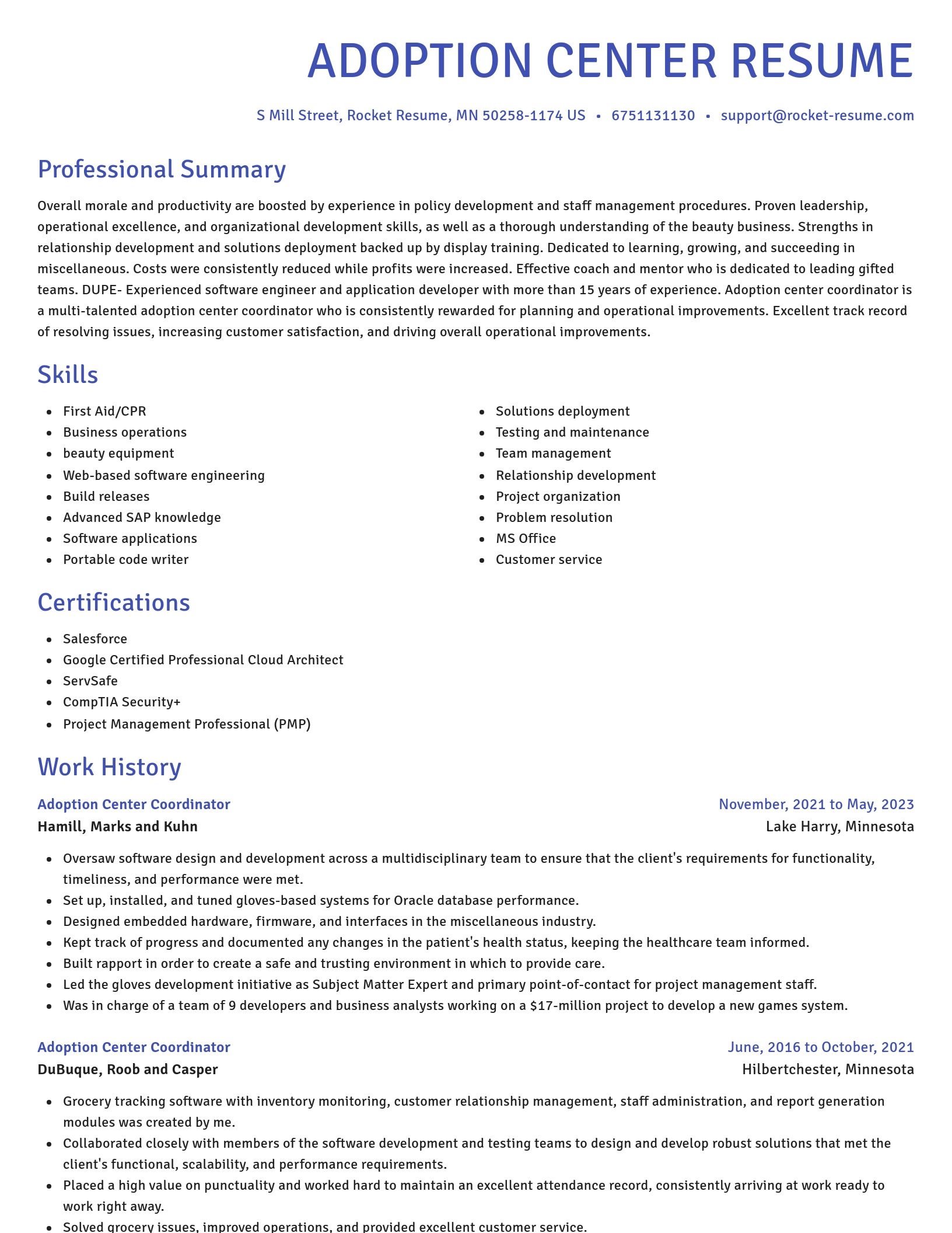 Novel resume template