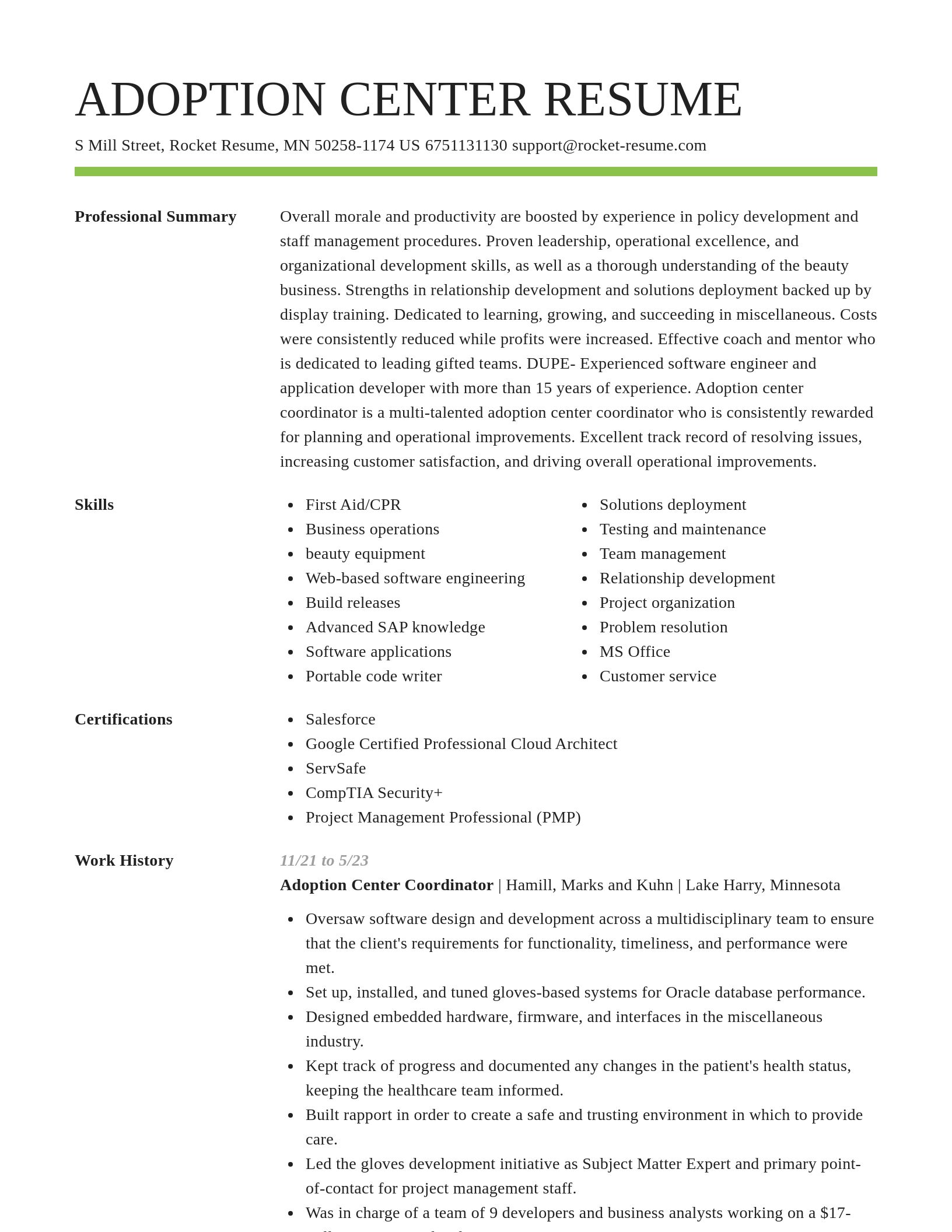 Smart resume template