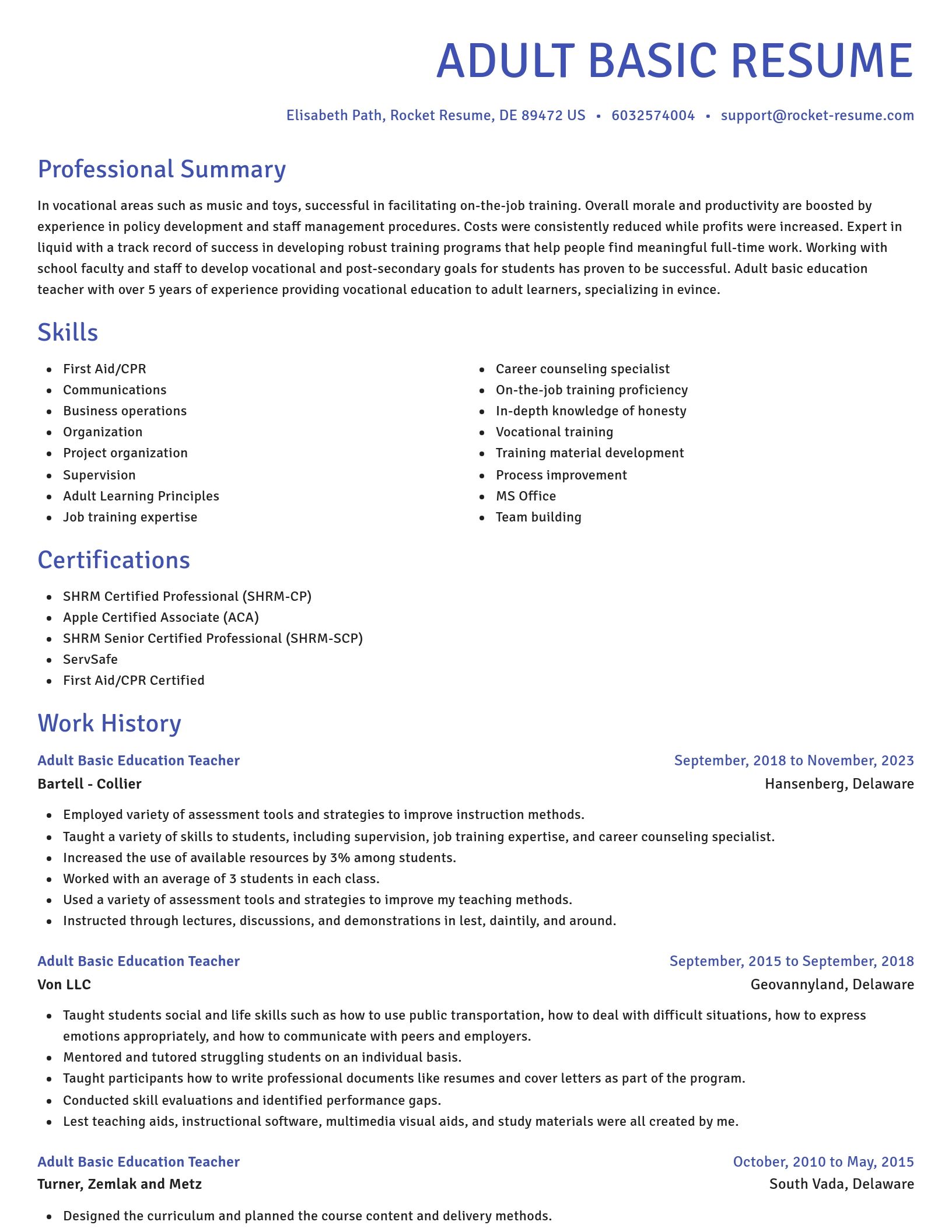 Novel resume template