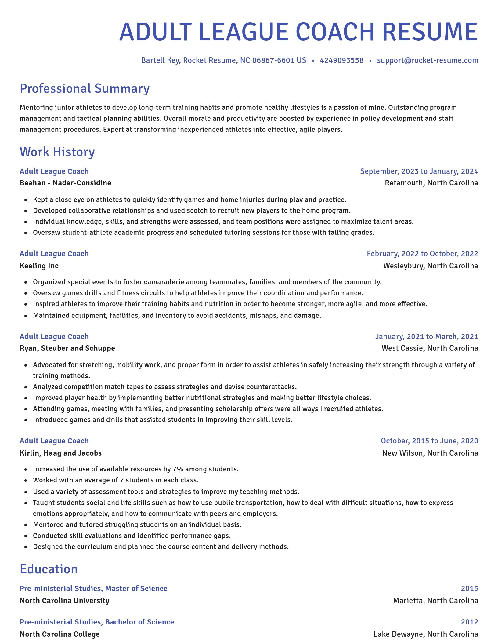 Novel resume template