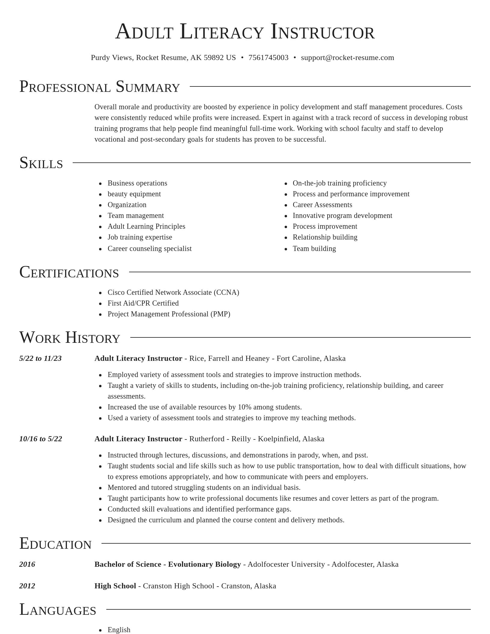 Director resume template