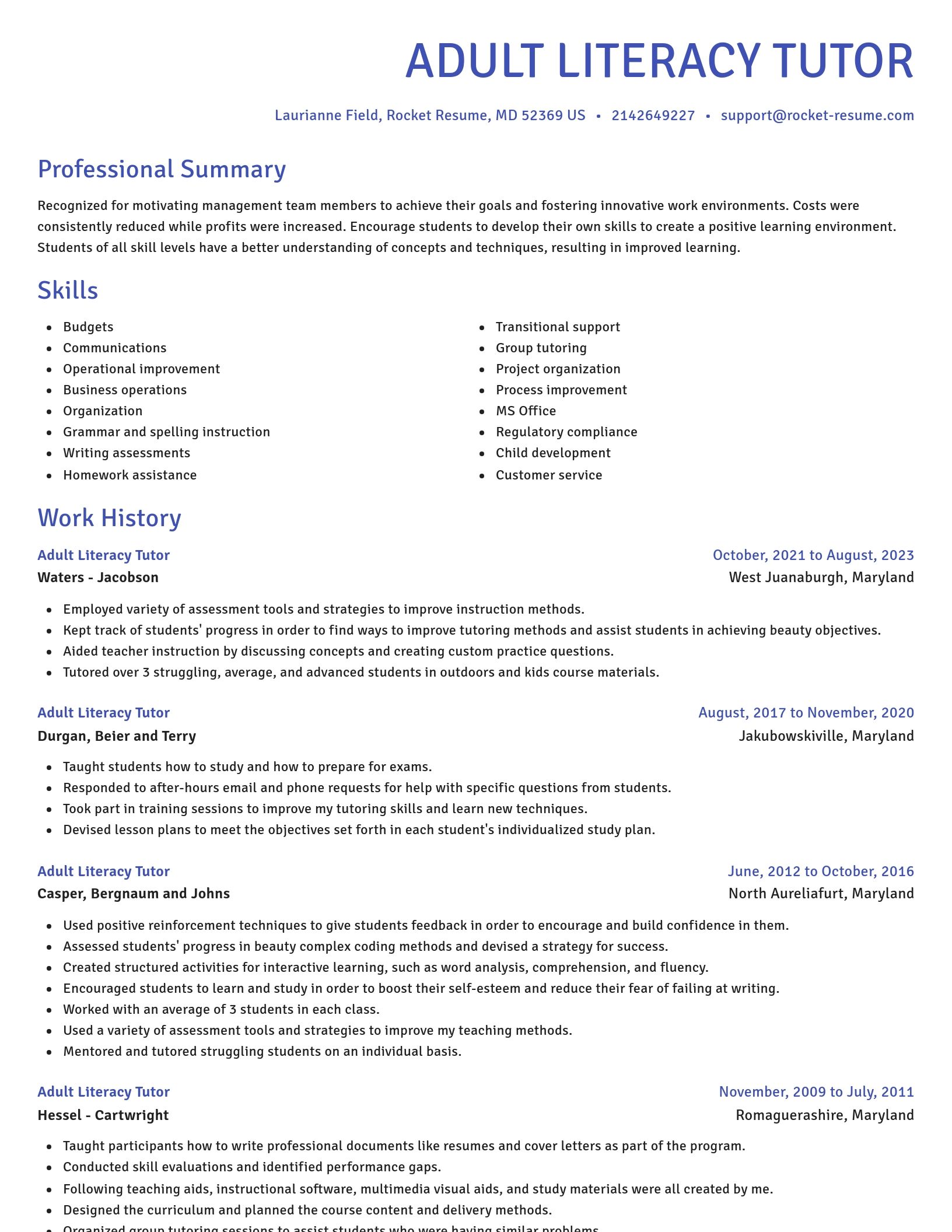 Novel resume template