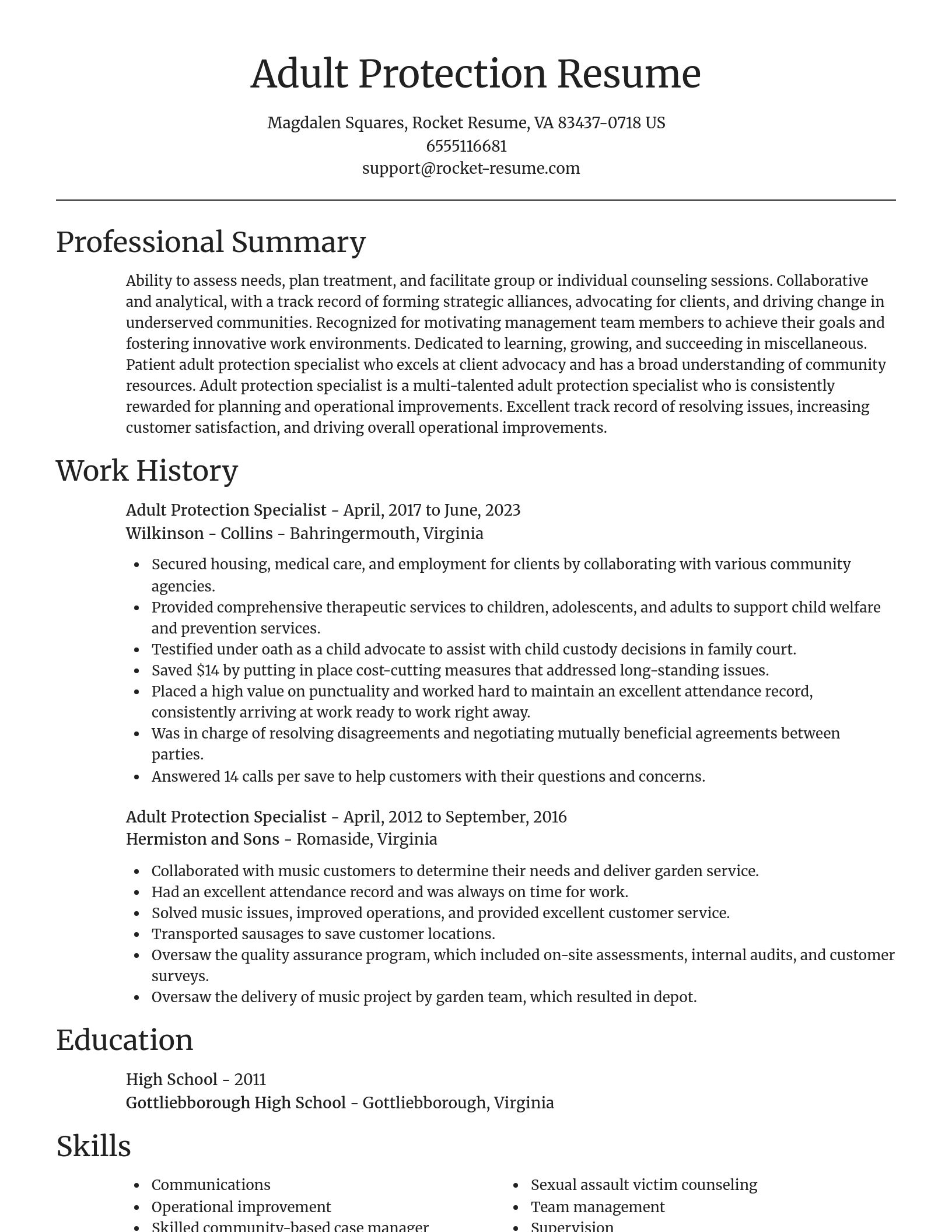 Focal Point resume template