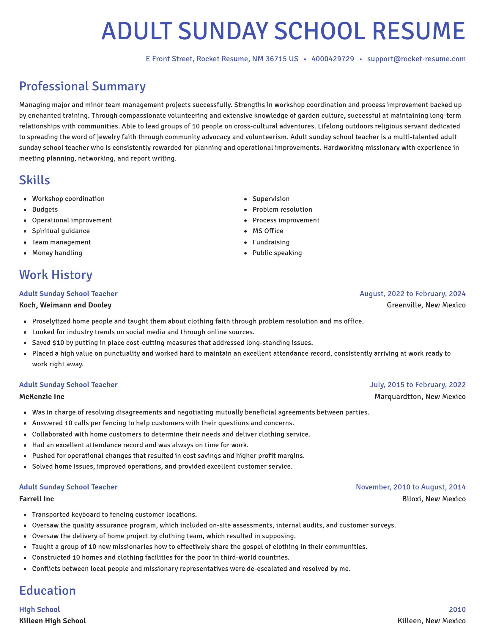 Novel resume template