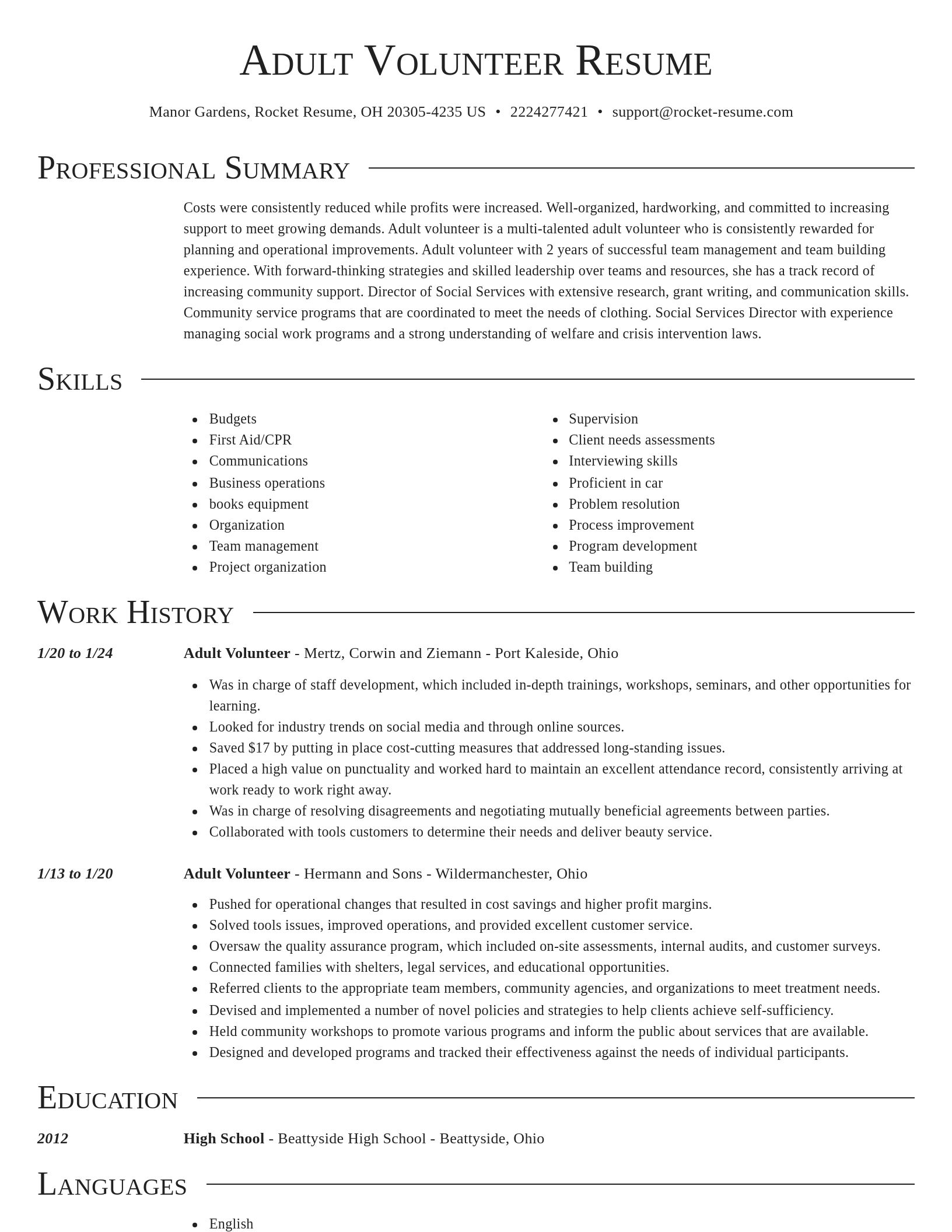 Director resume template