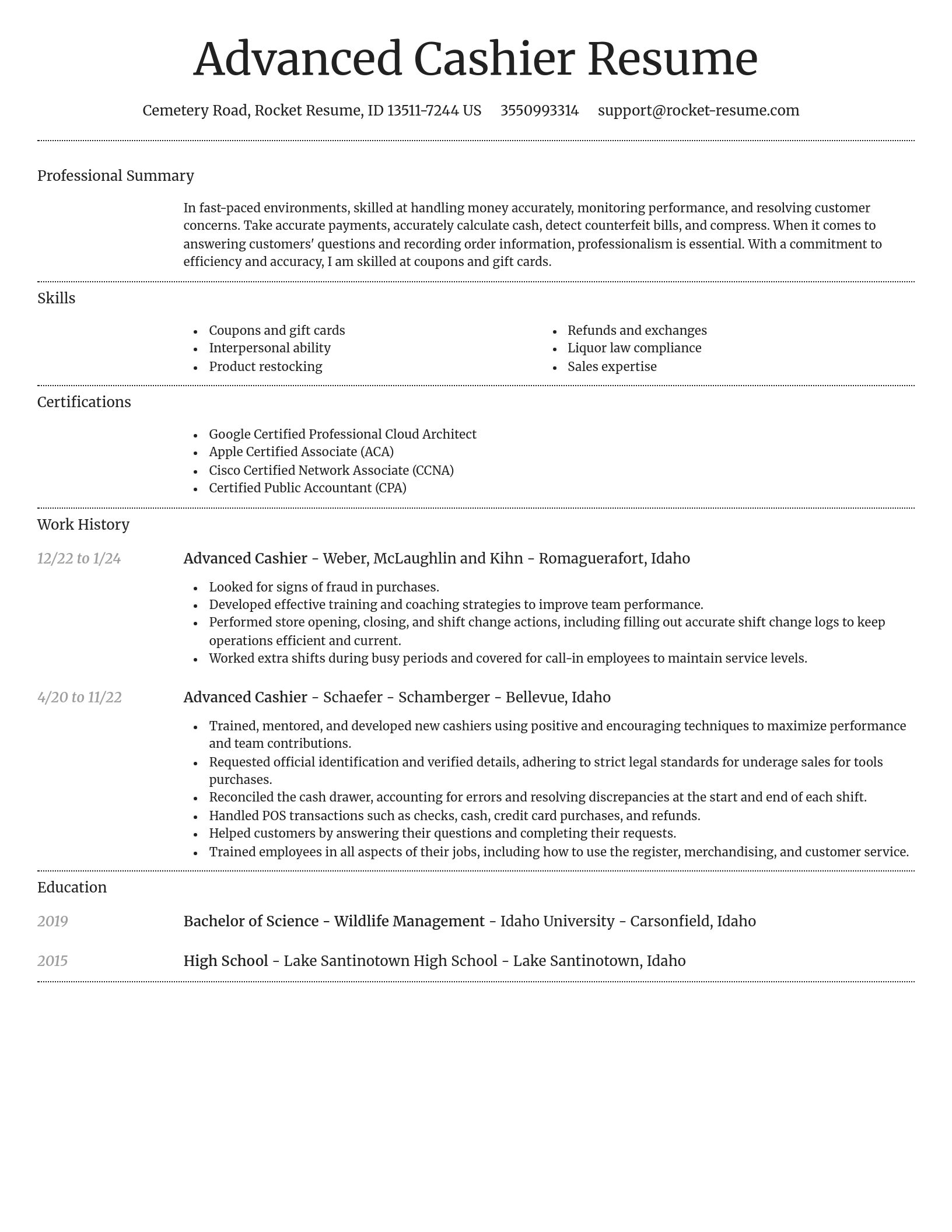 Dignified resume template