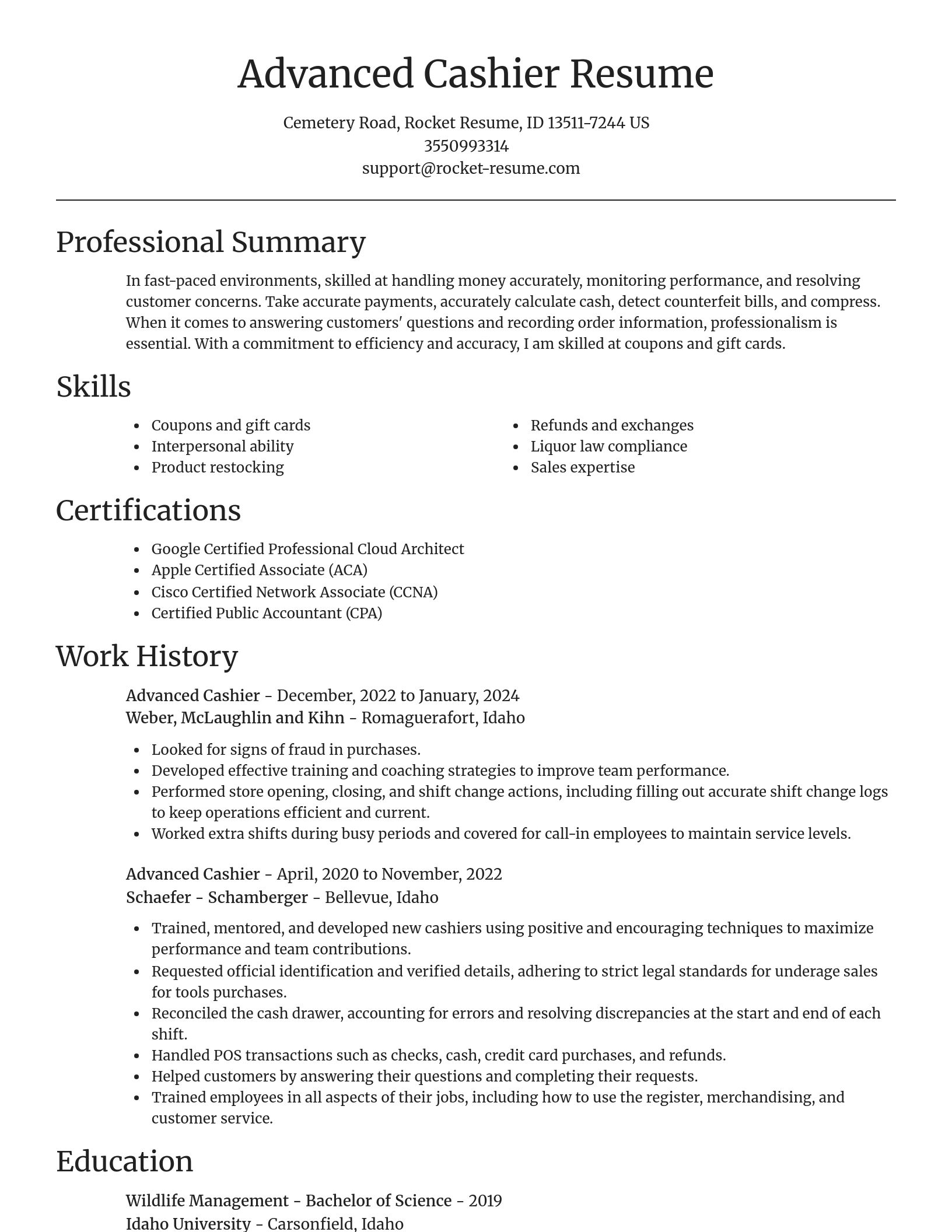 Focal Point resume template