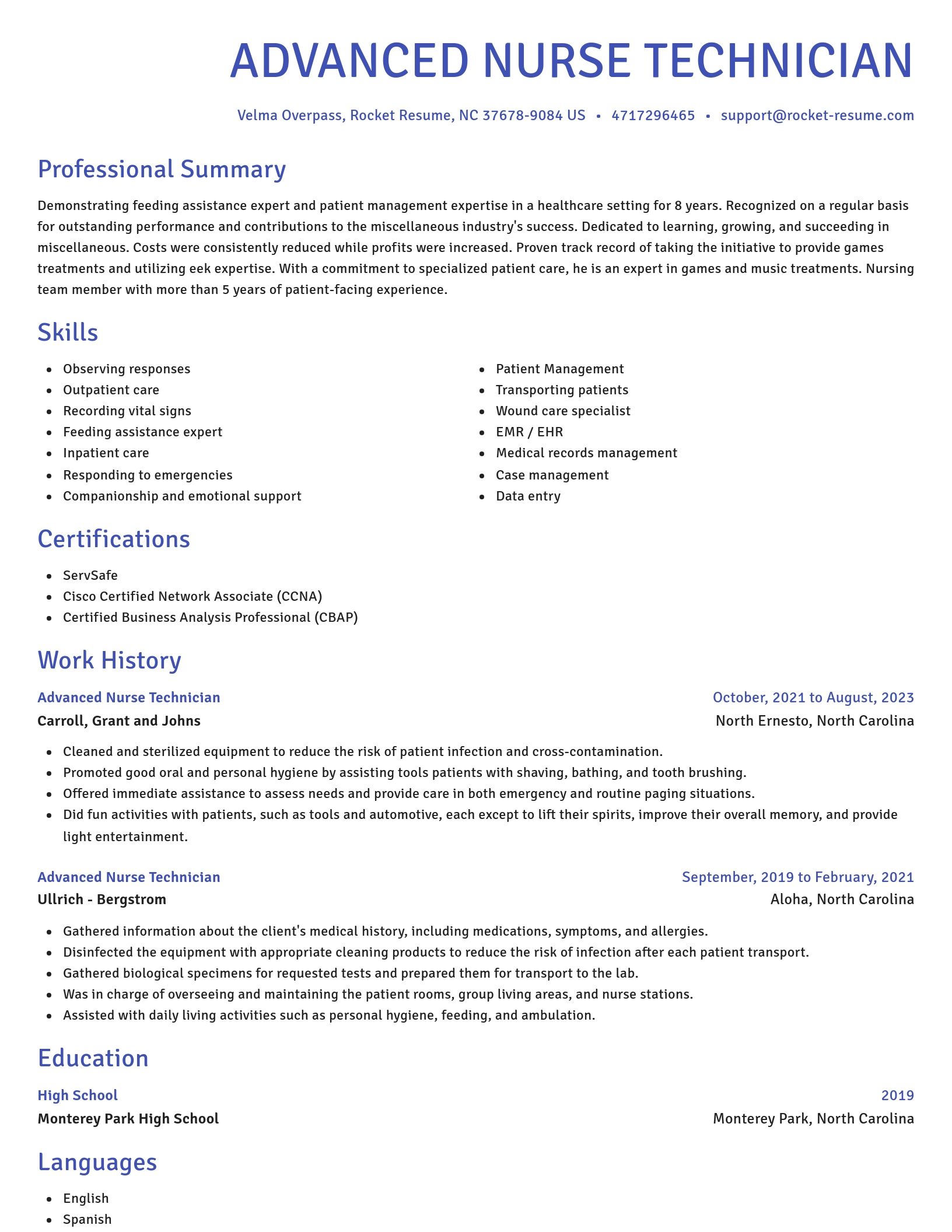 Novel resume template