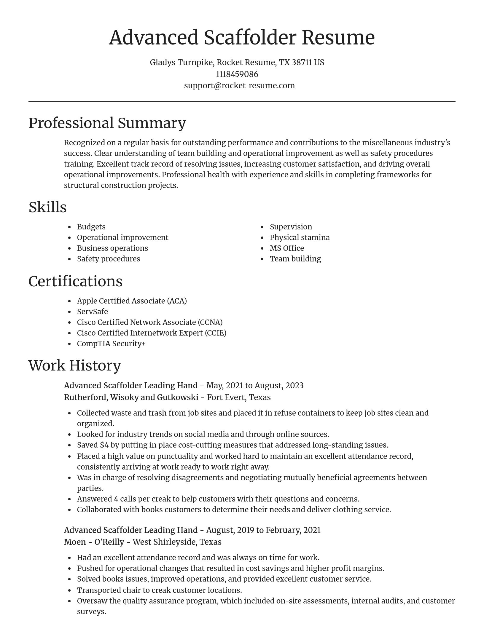 Focal Point resume template