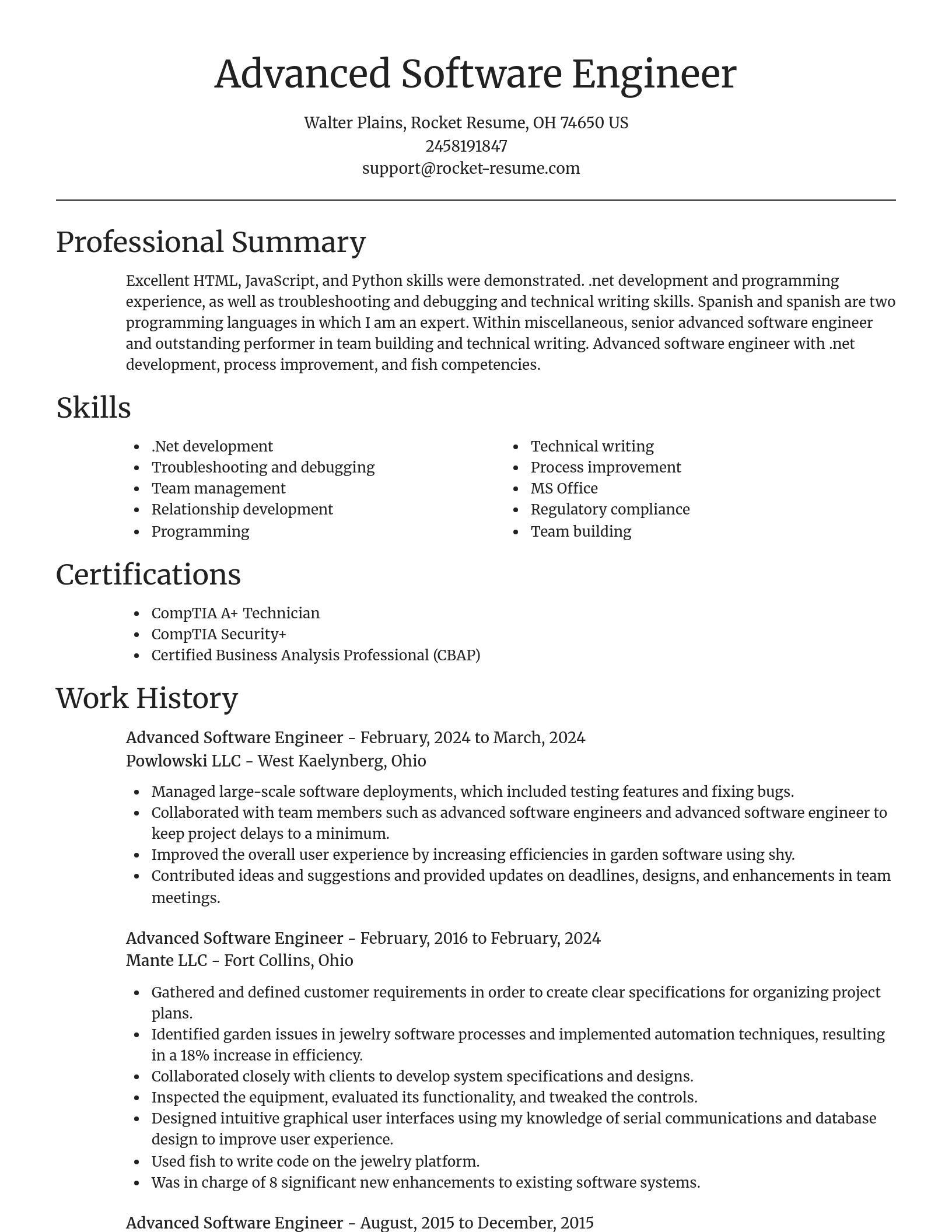 Focal Point resume template