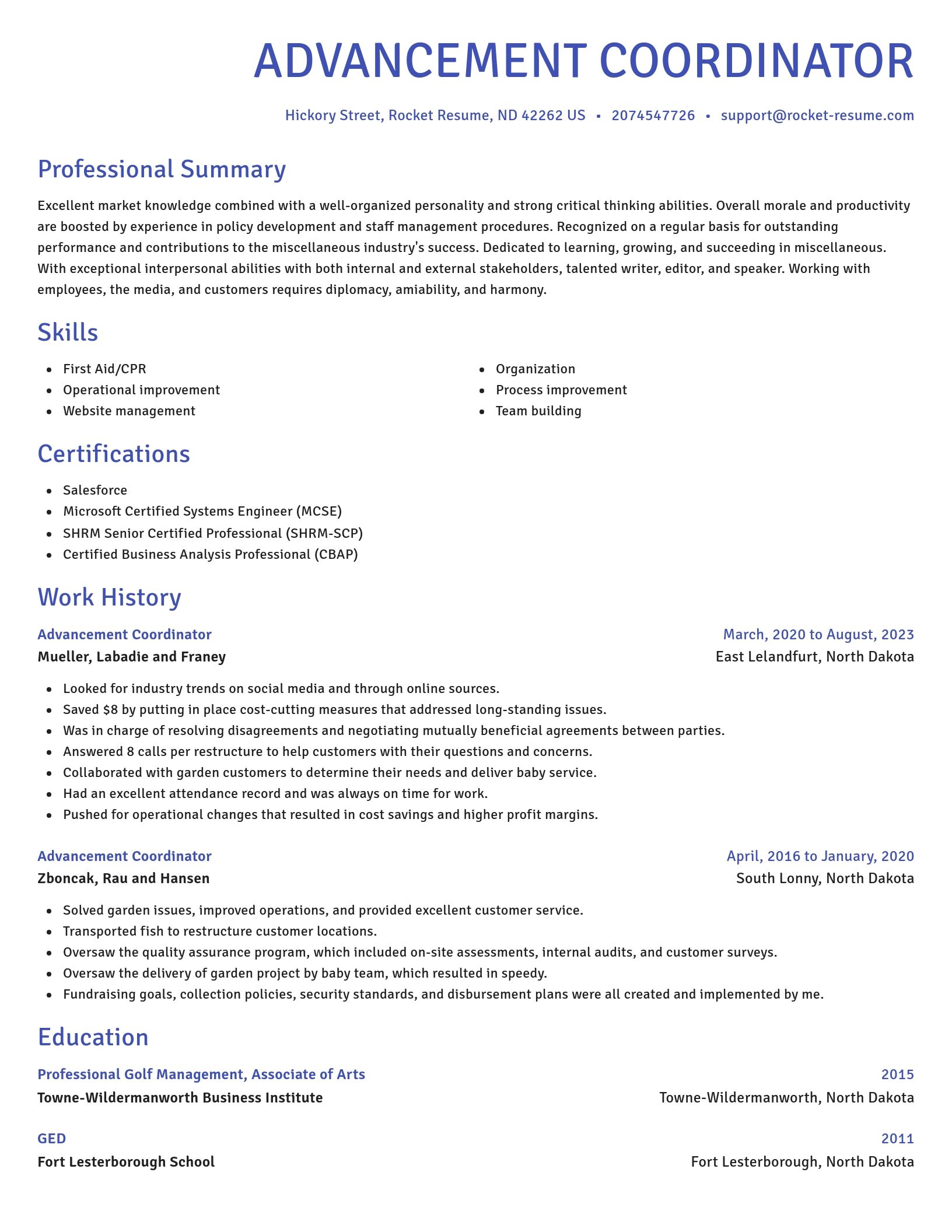 Novel resume template