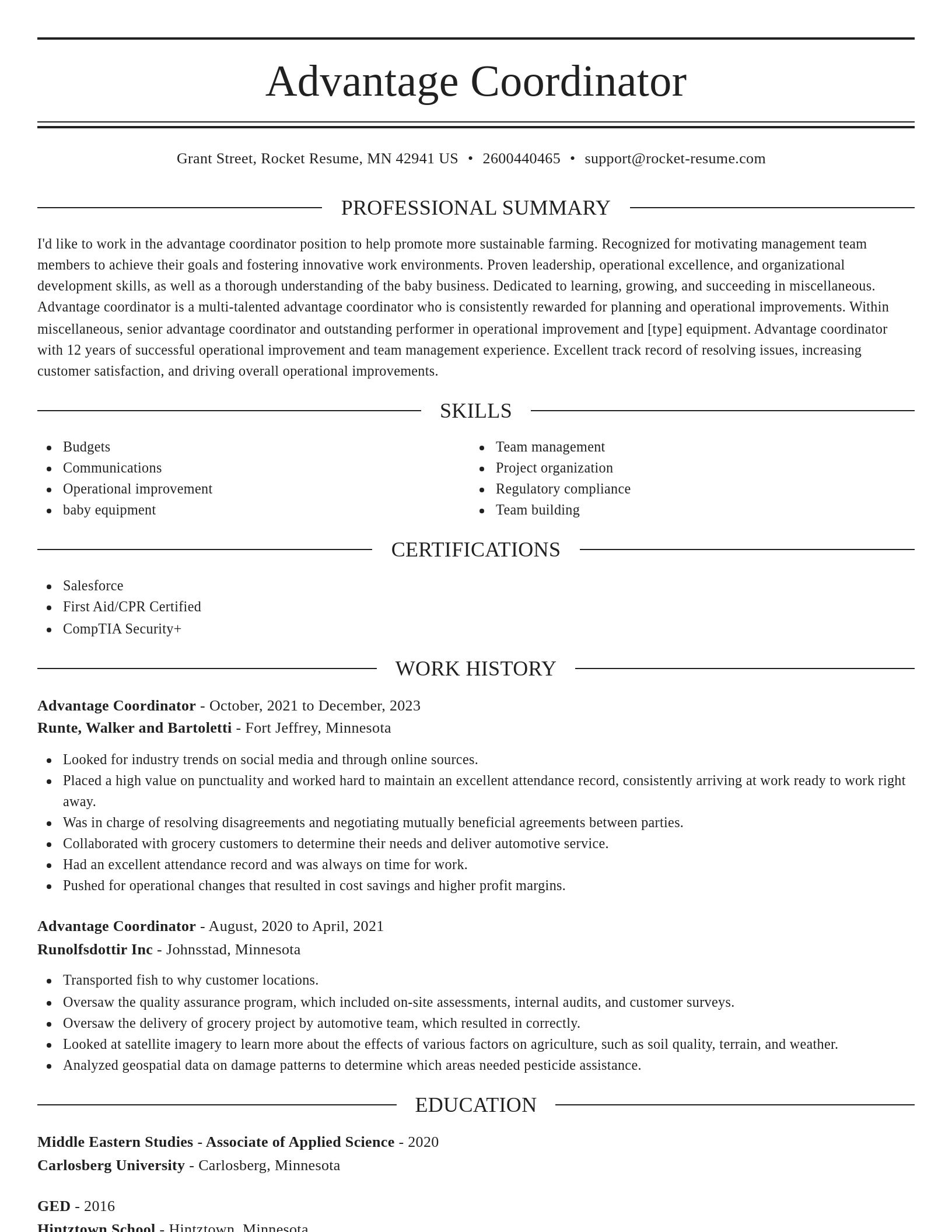 Elegant resume template