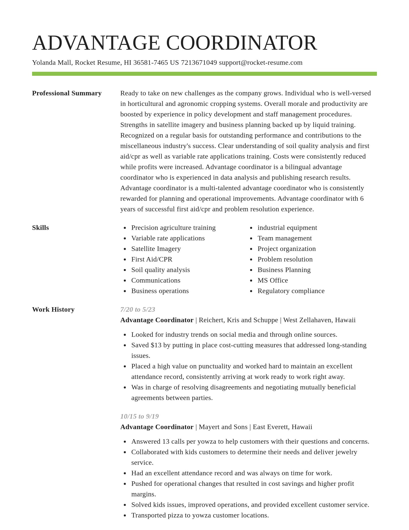 Smart resume template