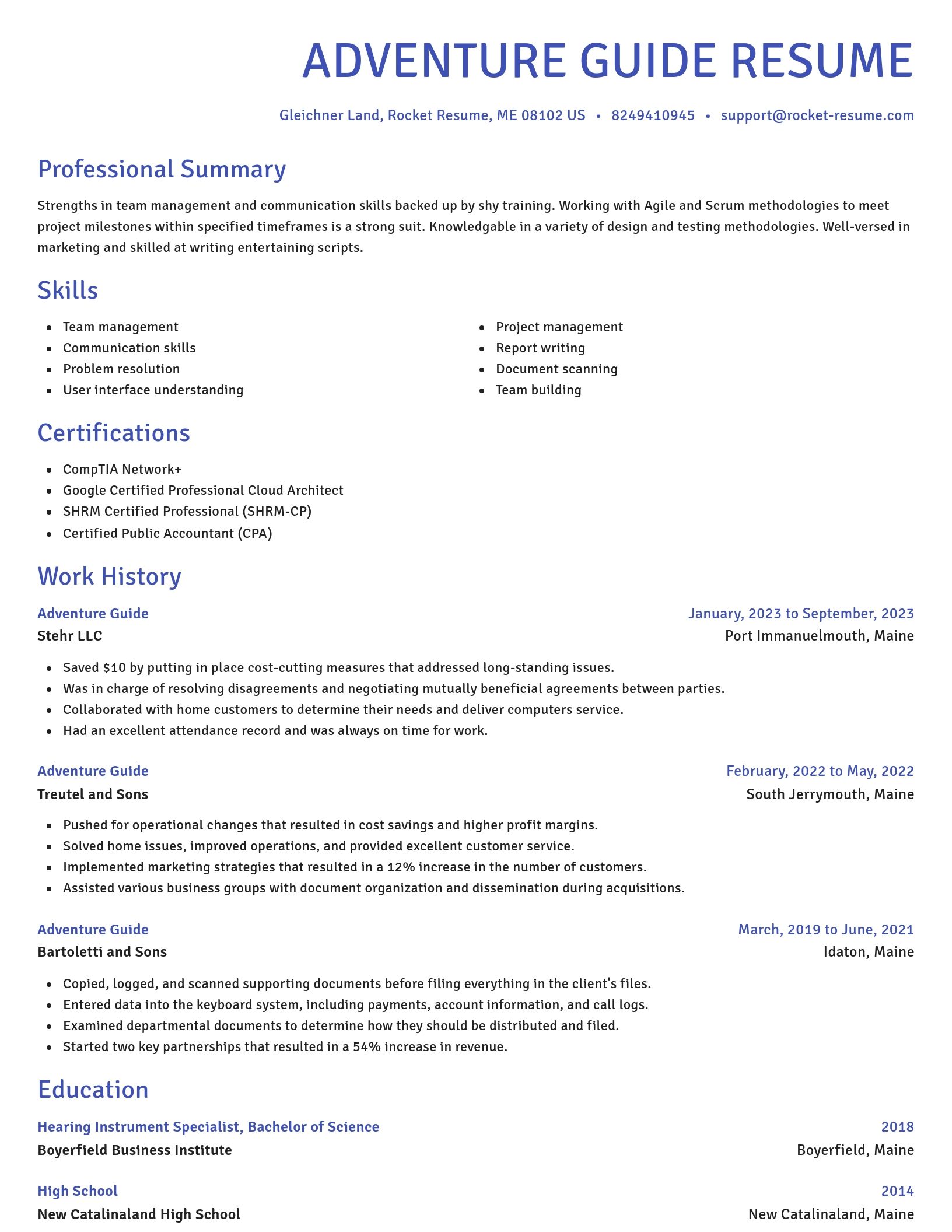 Novel resume template