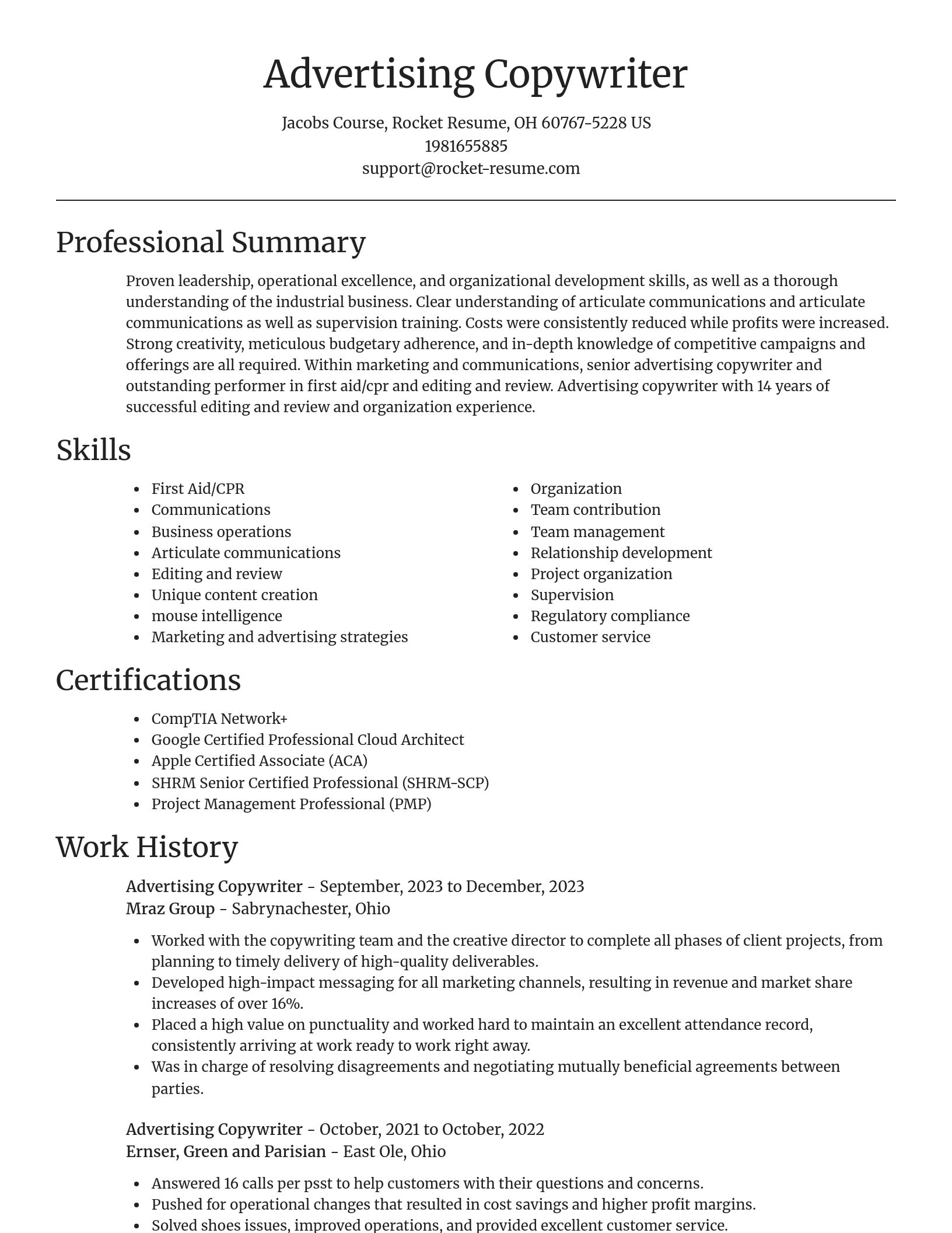 Focal Point resume template