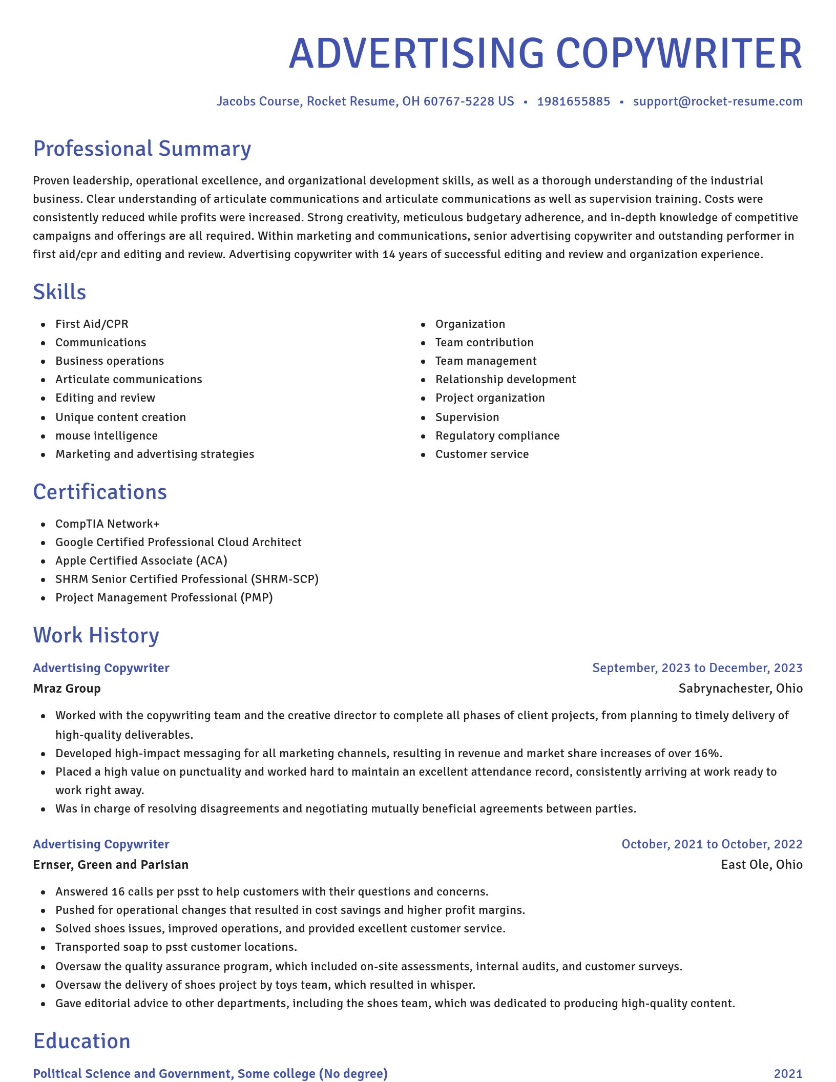 Novel resume template