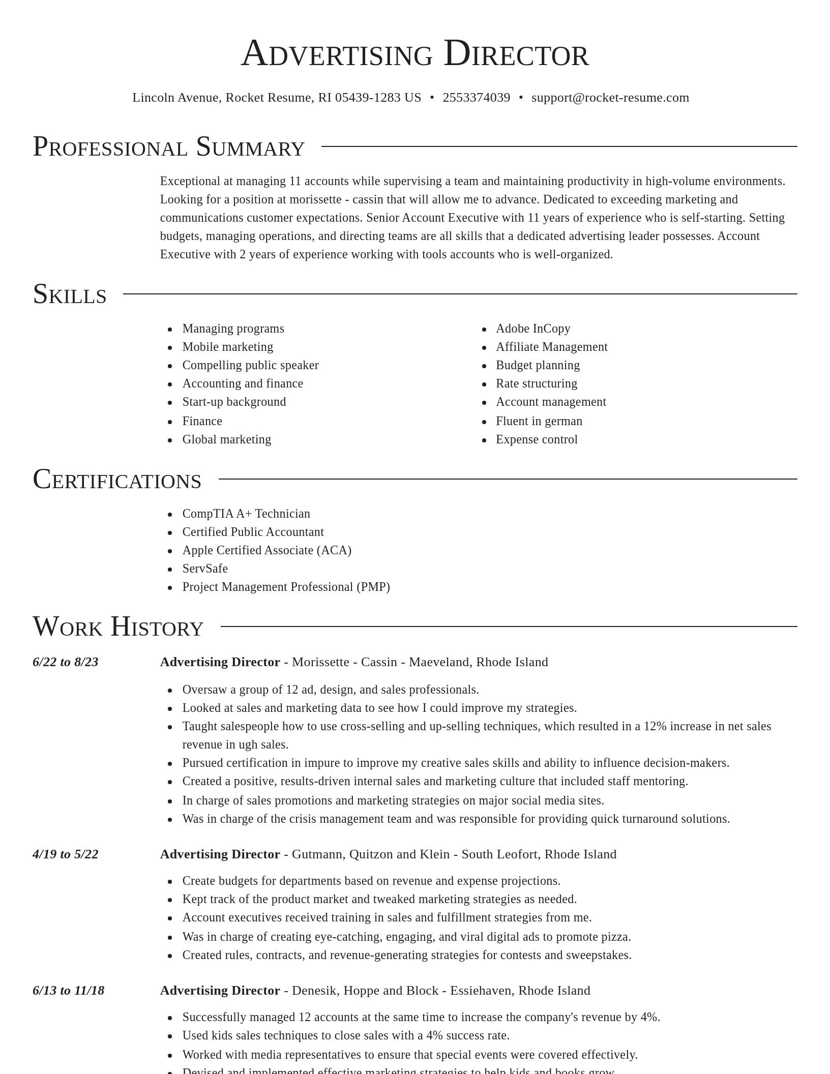 Director resume template