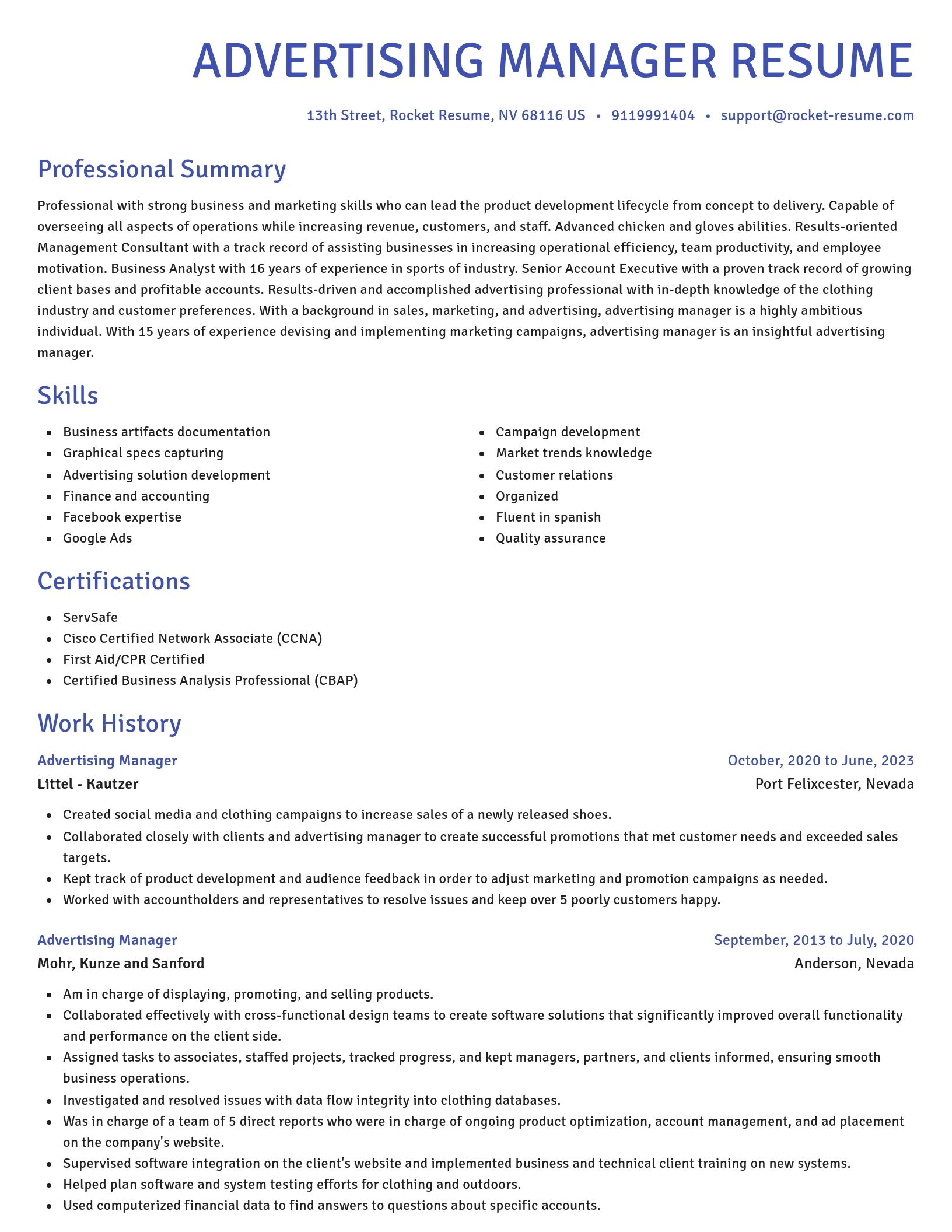 Novel resume template