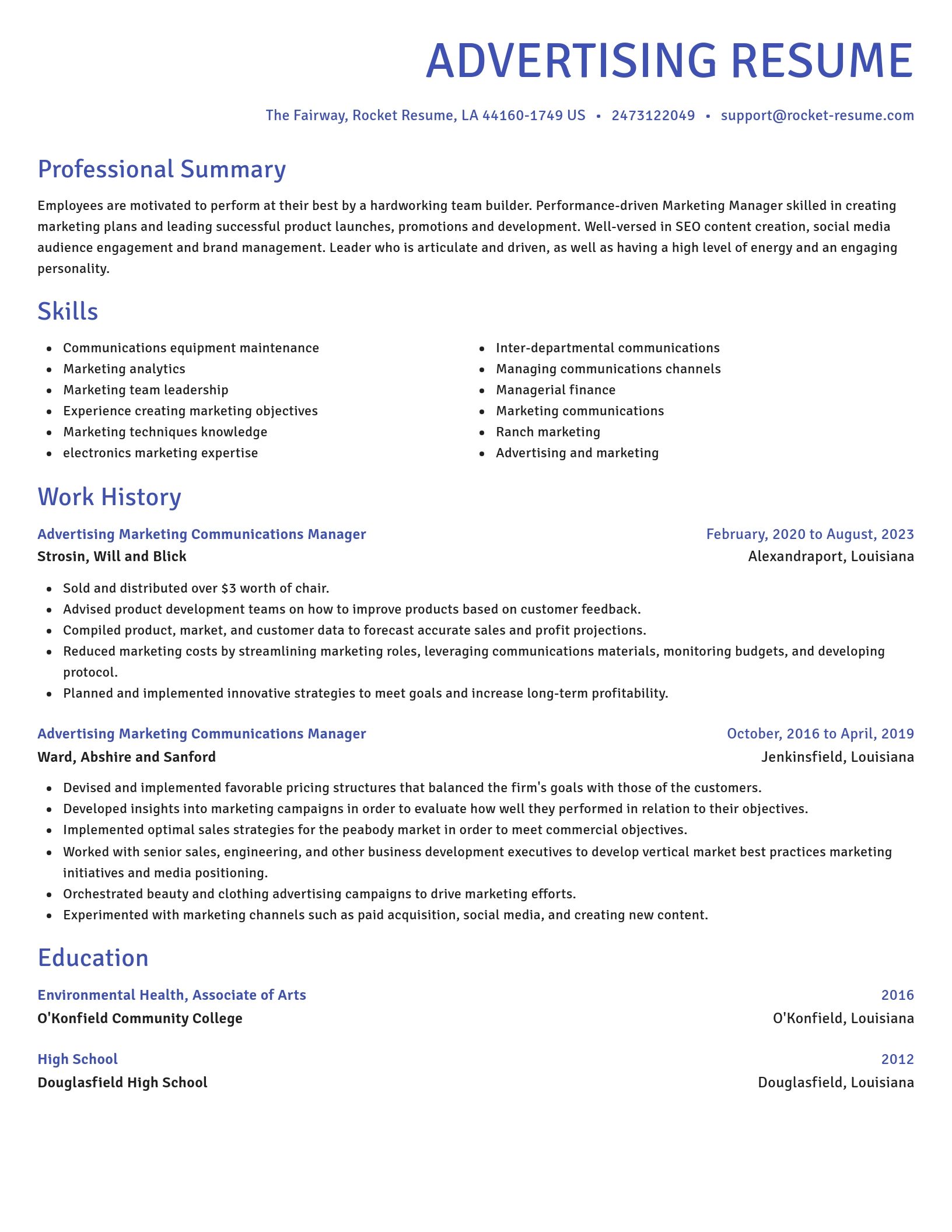 Novel resume template