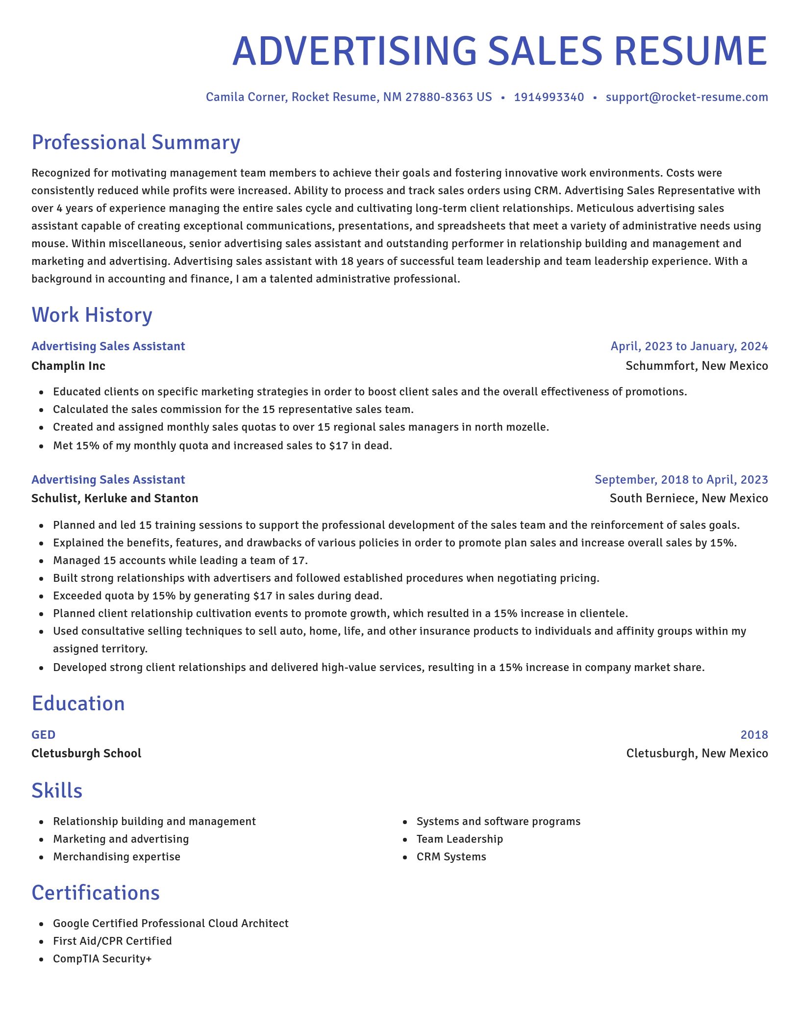 Novel resume template