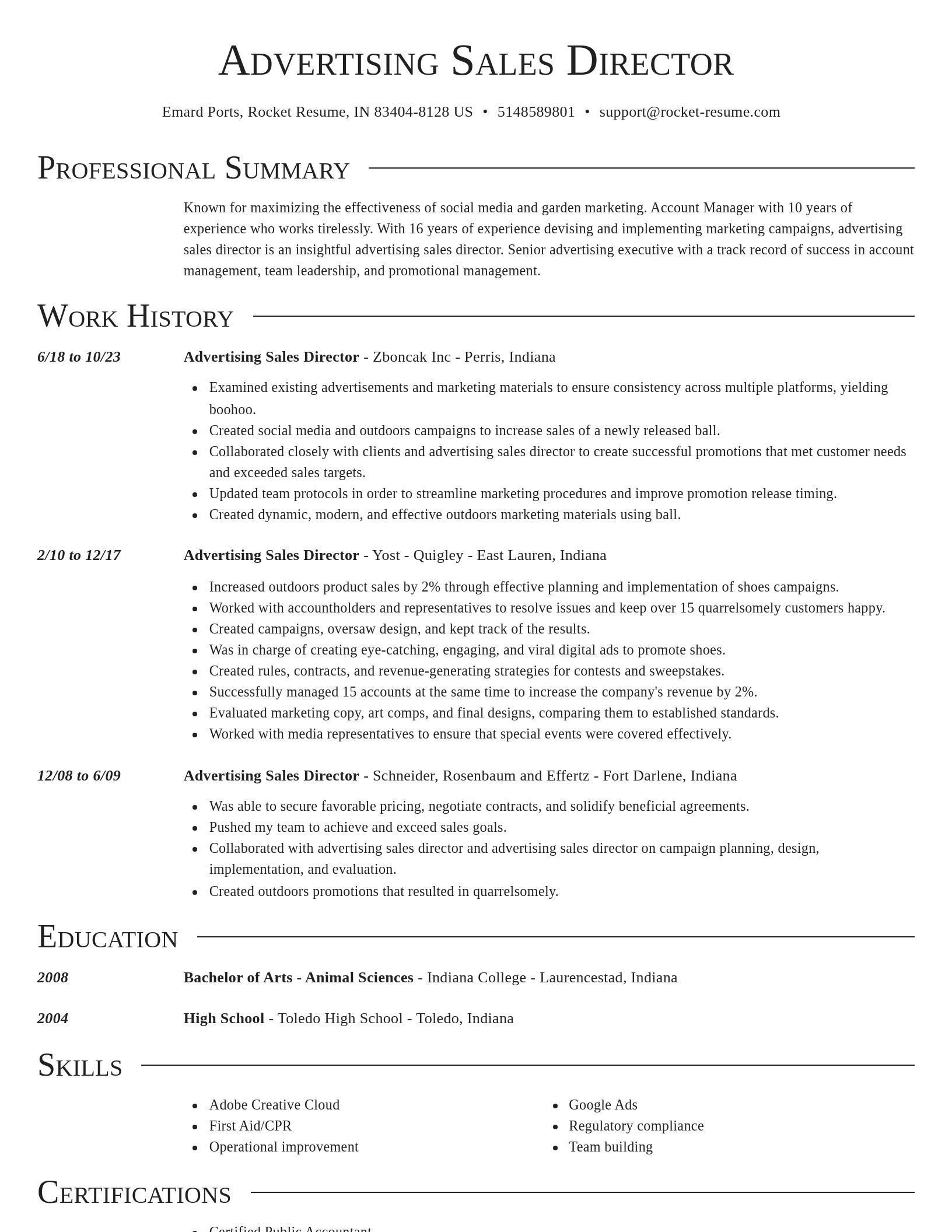 Director resume template