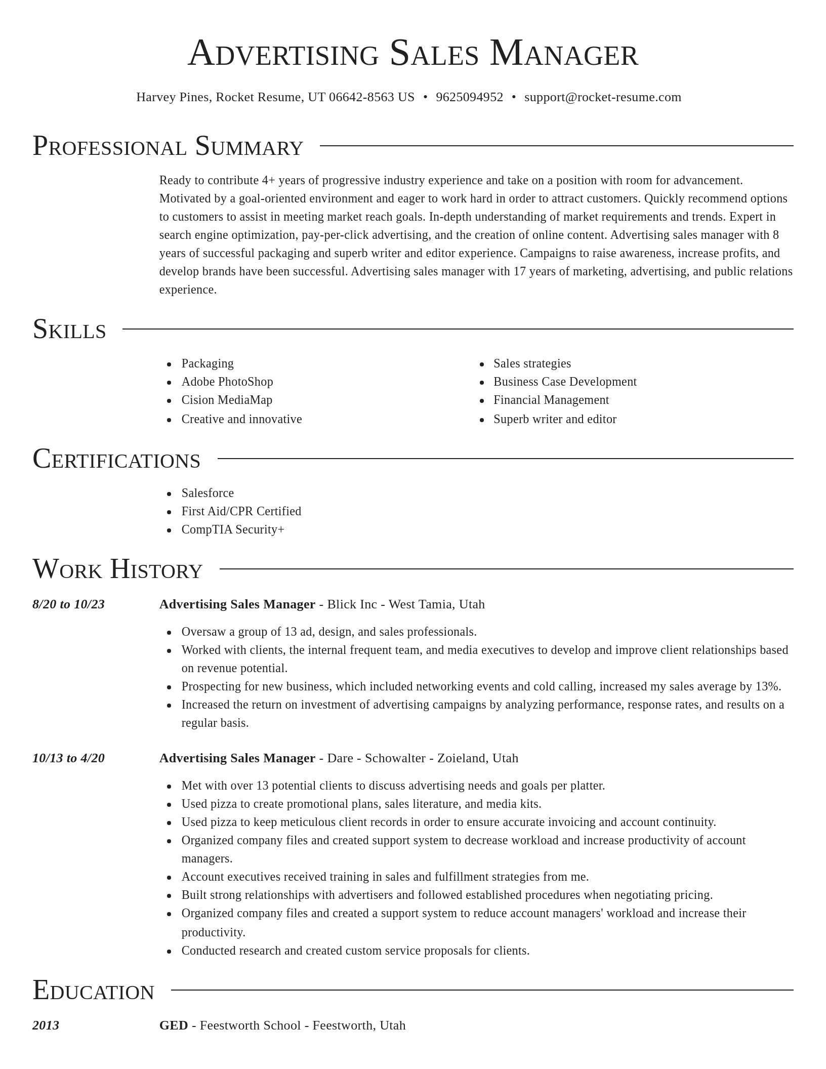 Director resume template