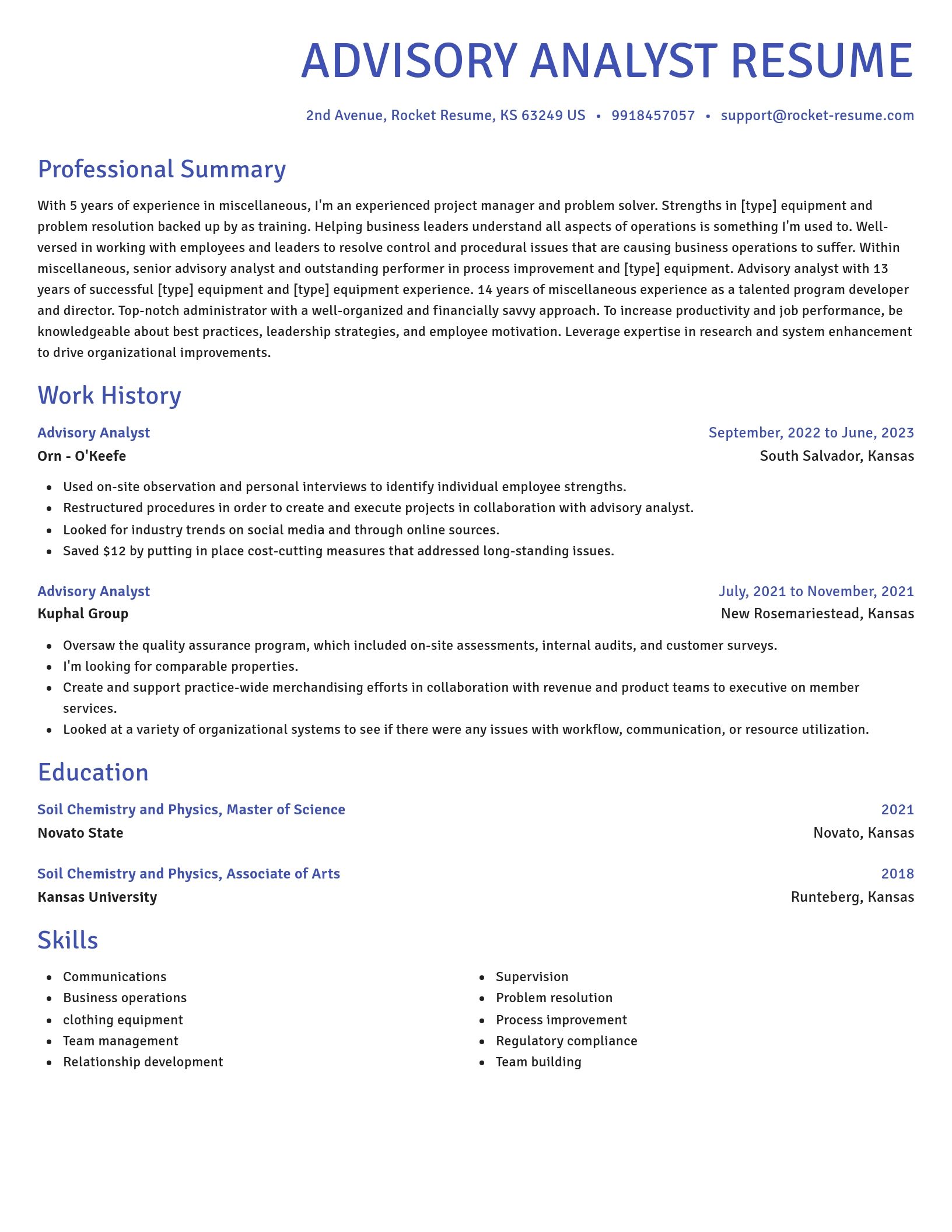Novel resume template