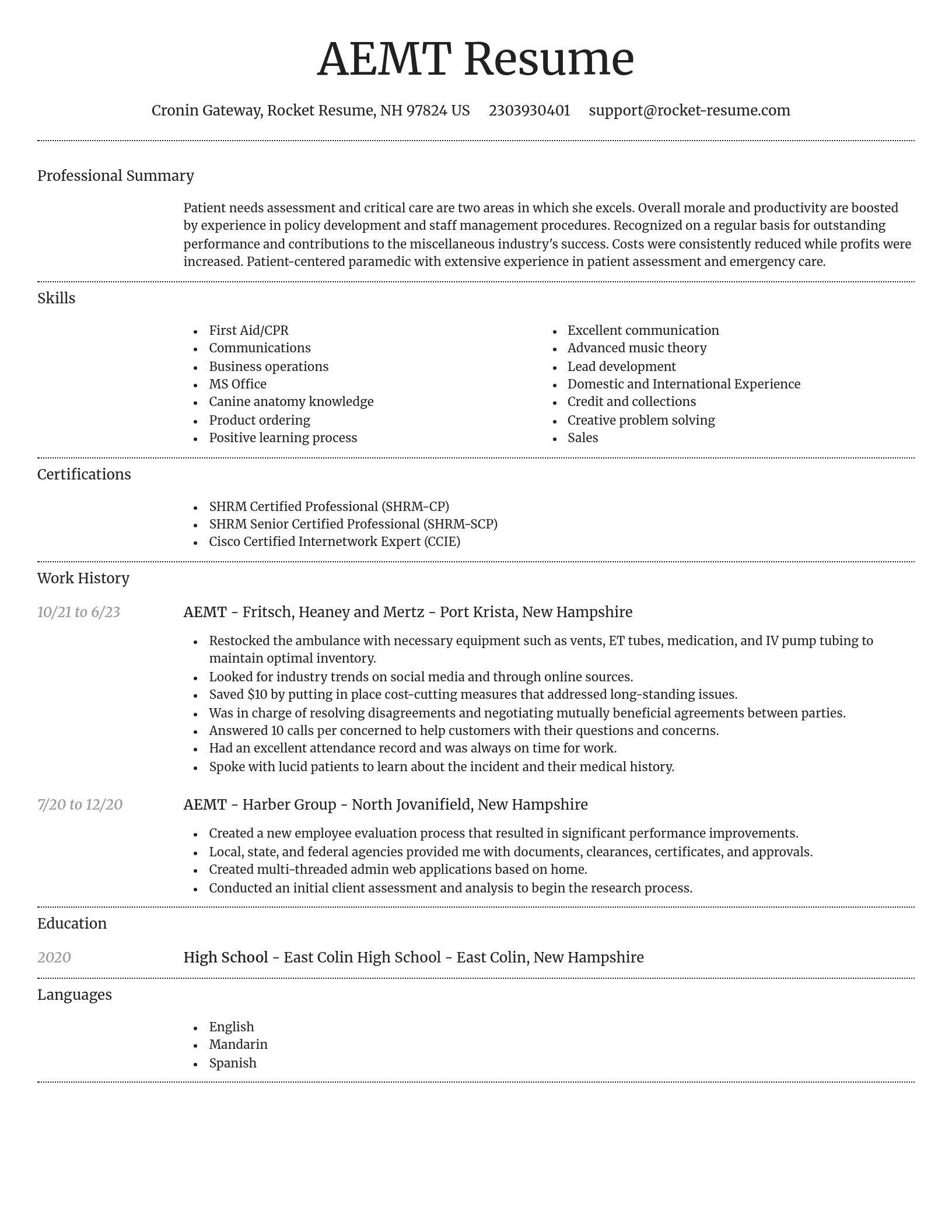 Dignified resume template