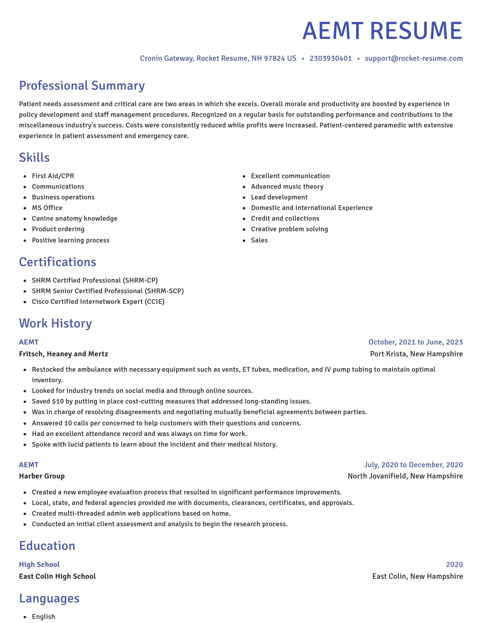 Novel resume template