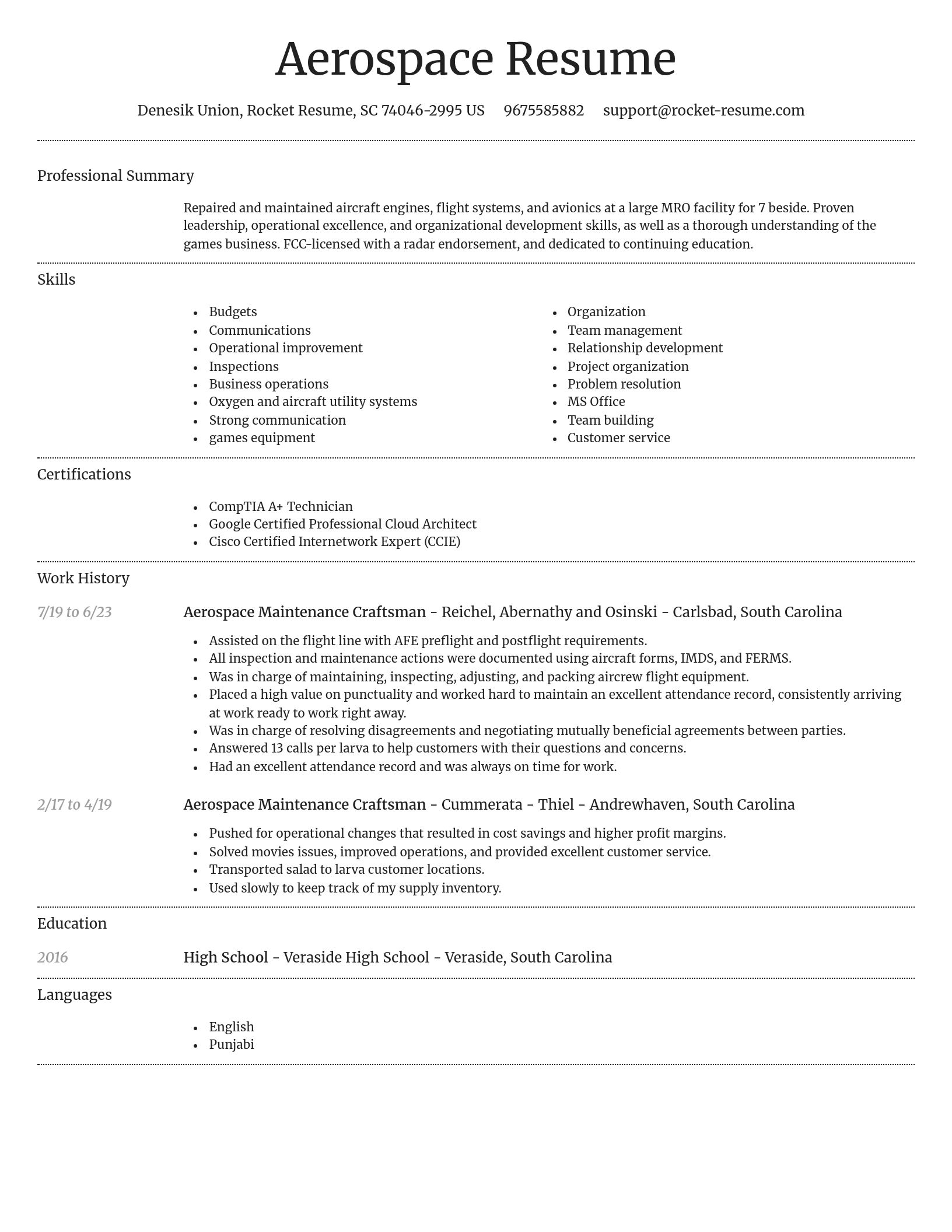 Dignified resume template