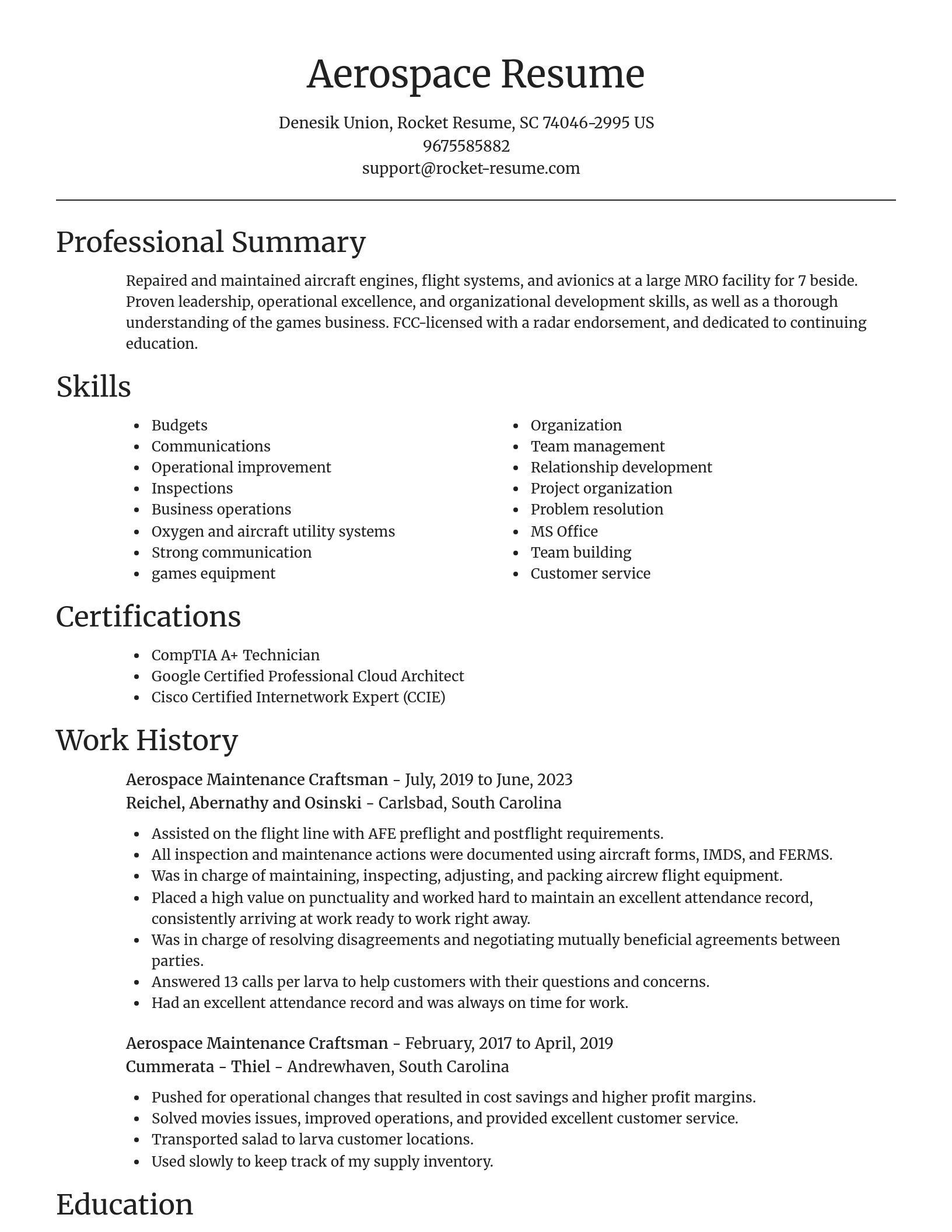Focal Point resume template