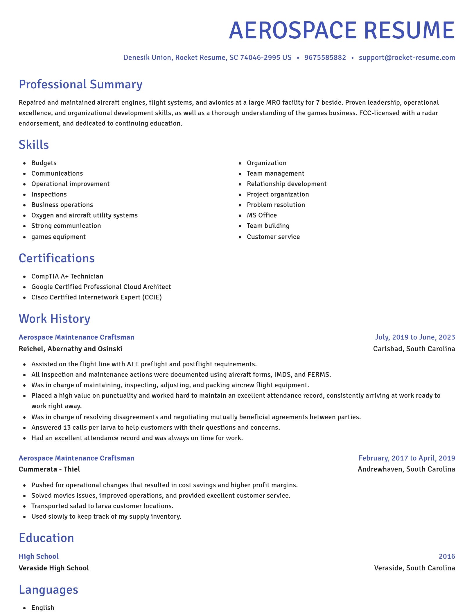 Novel resume template