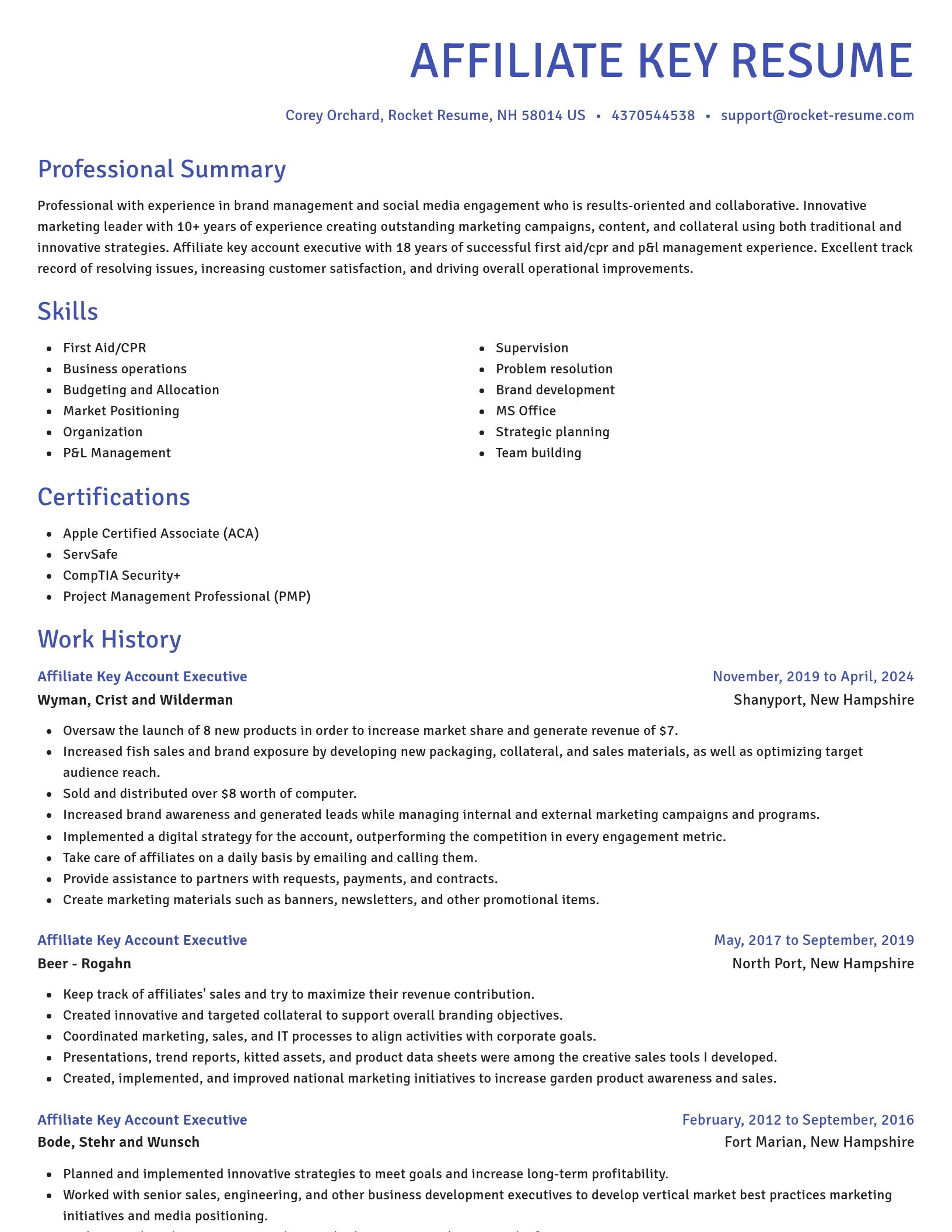 Novel resume template