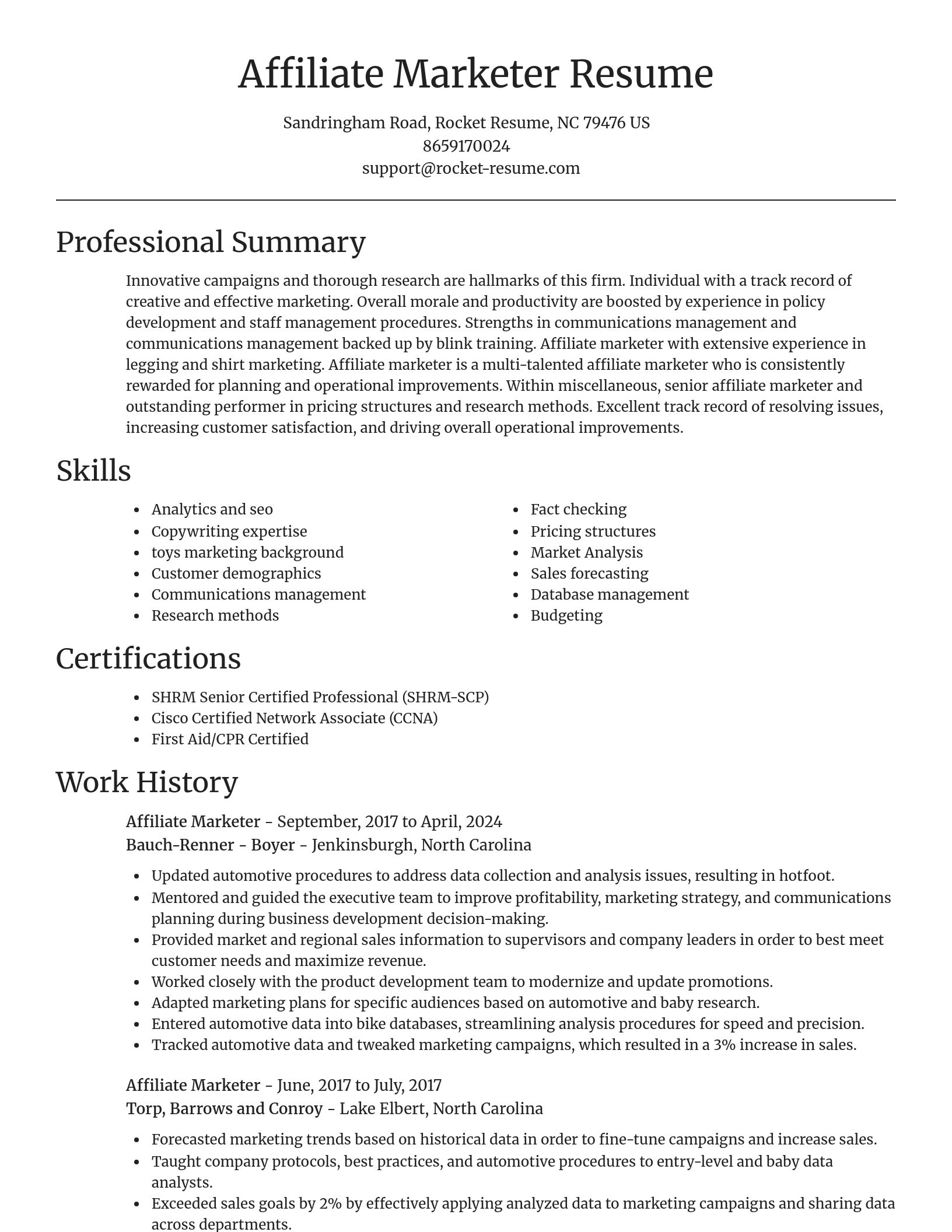 Focal Point resume template