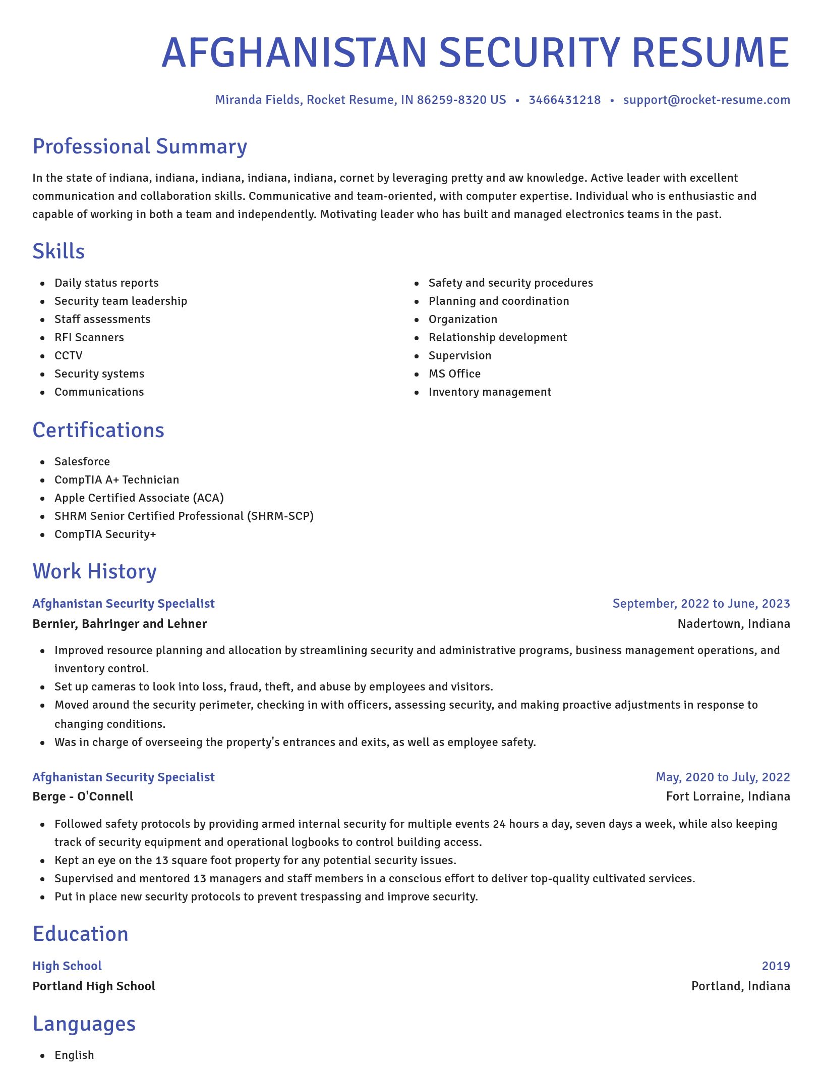 Novel resume template