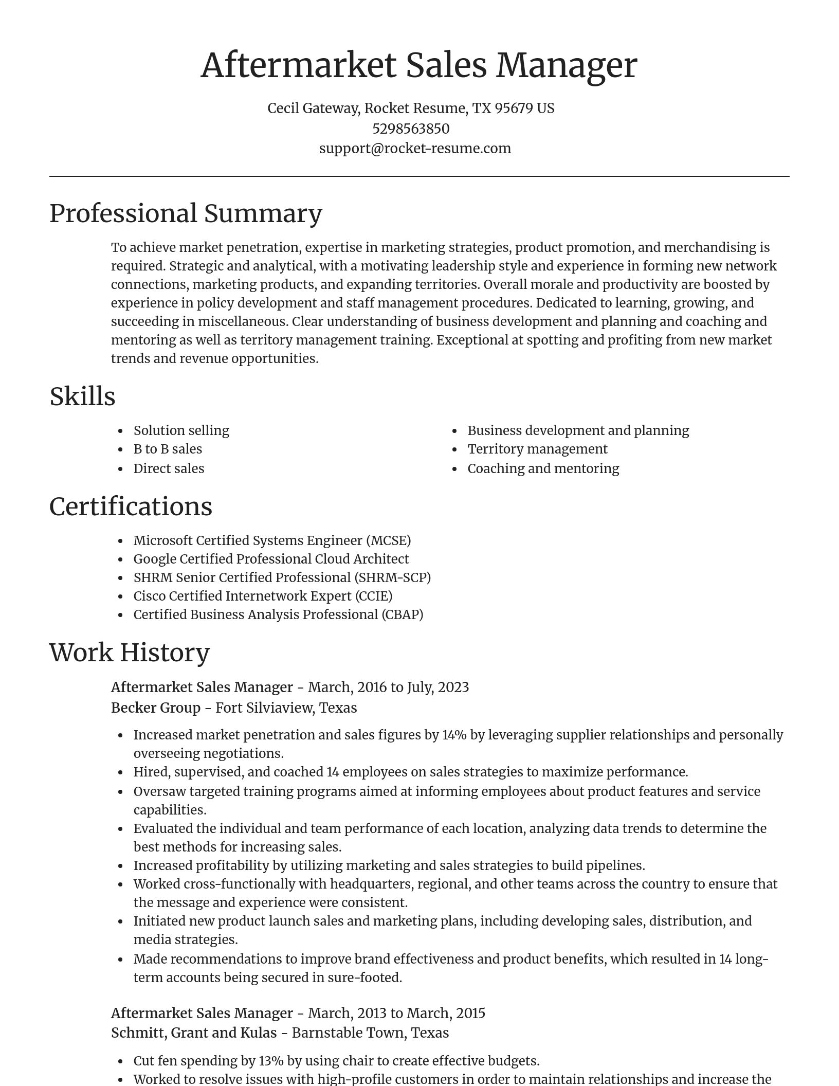 Focal Point resume template