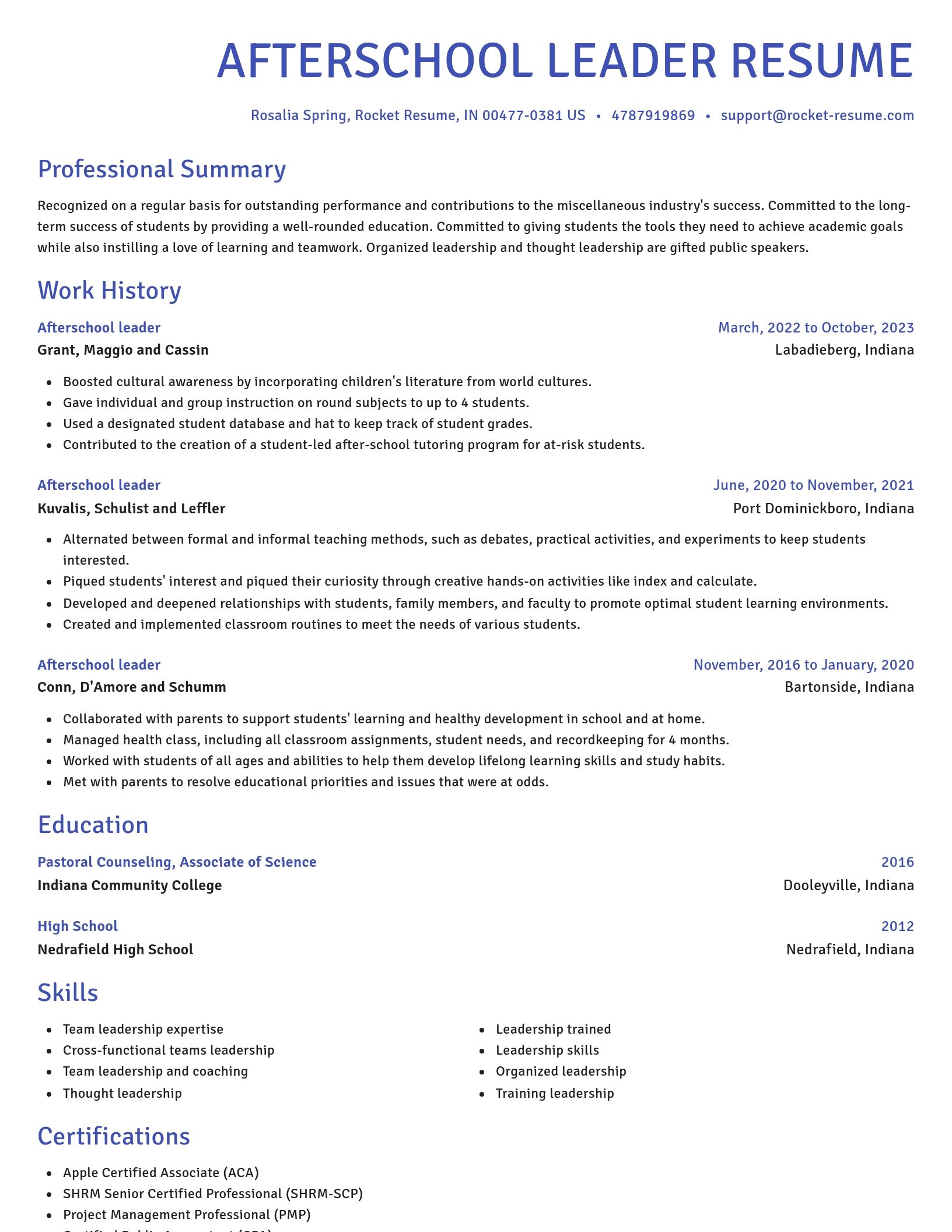 Novel resume template