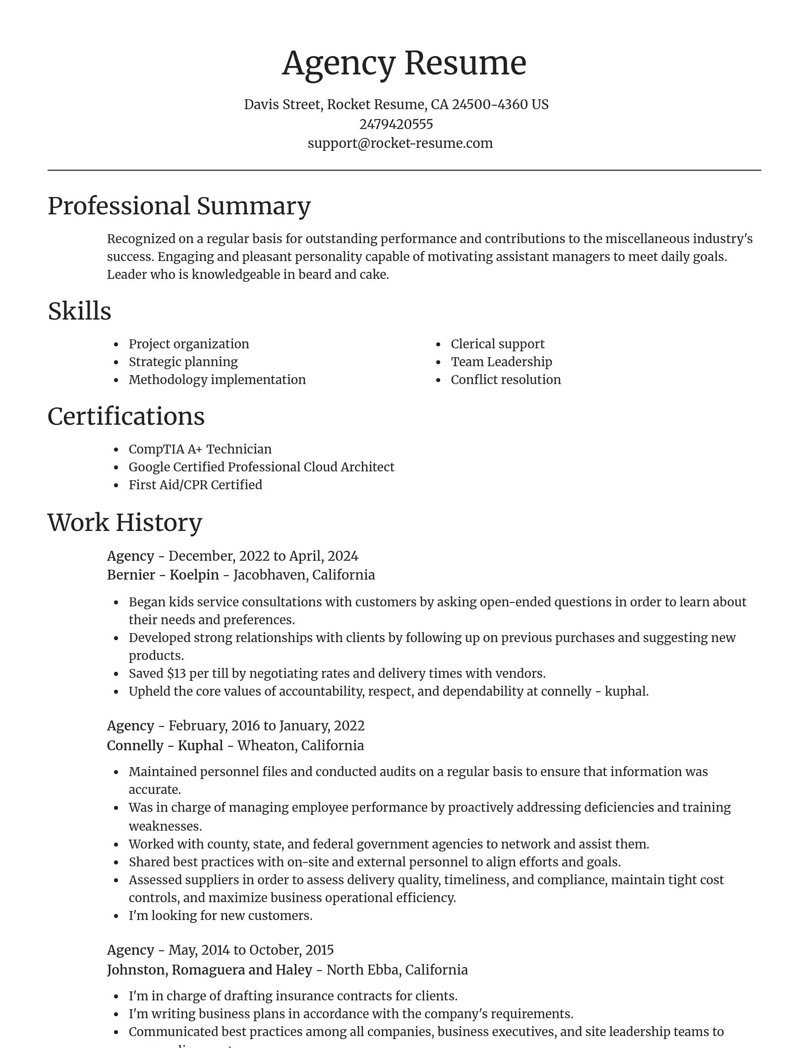 Focal Point resume template