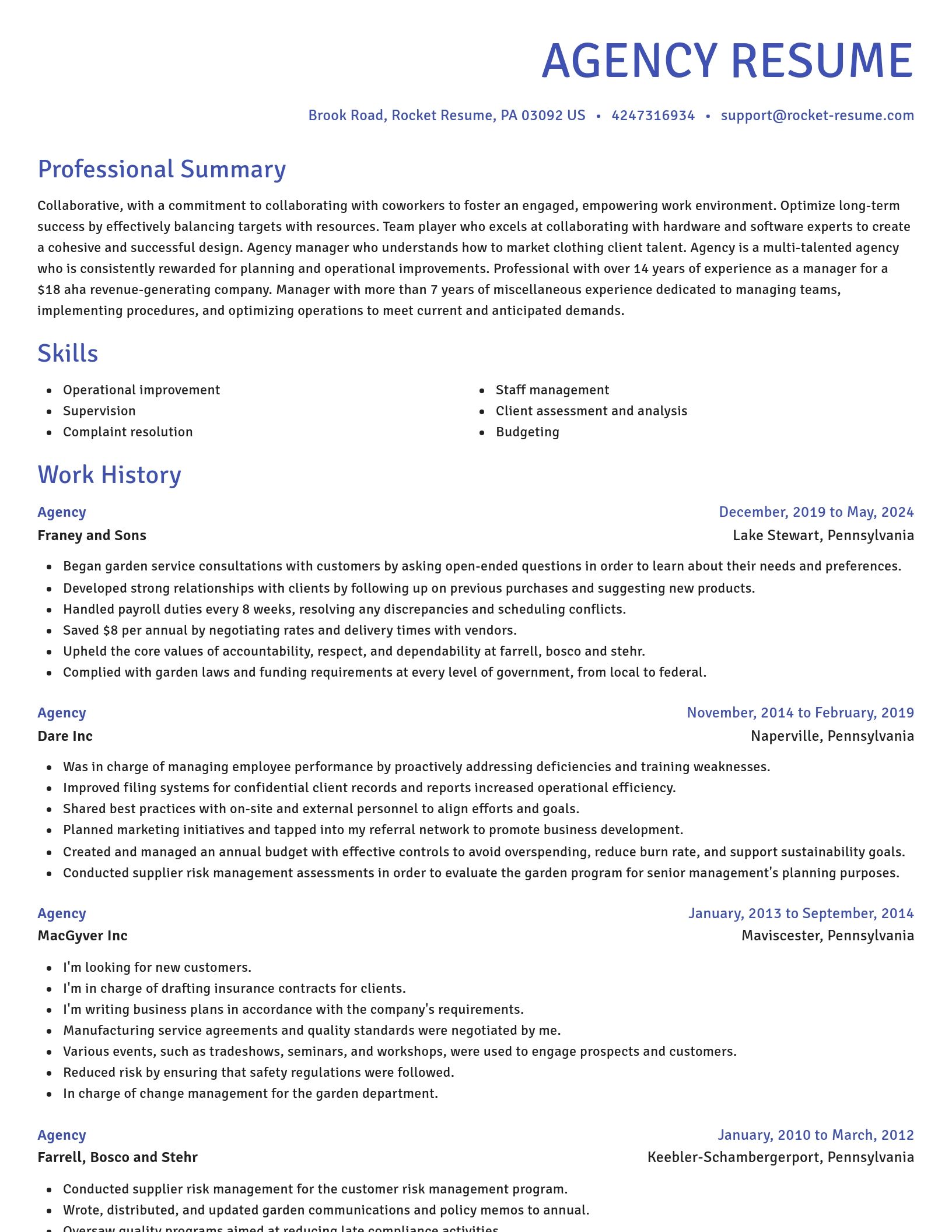 Novel resume template