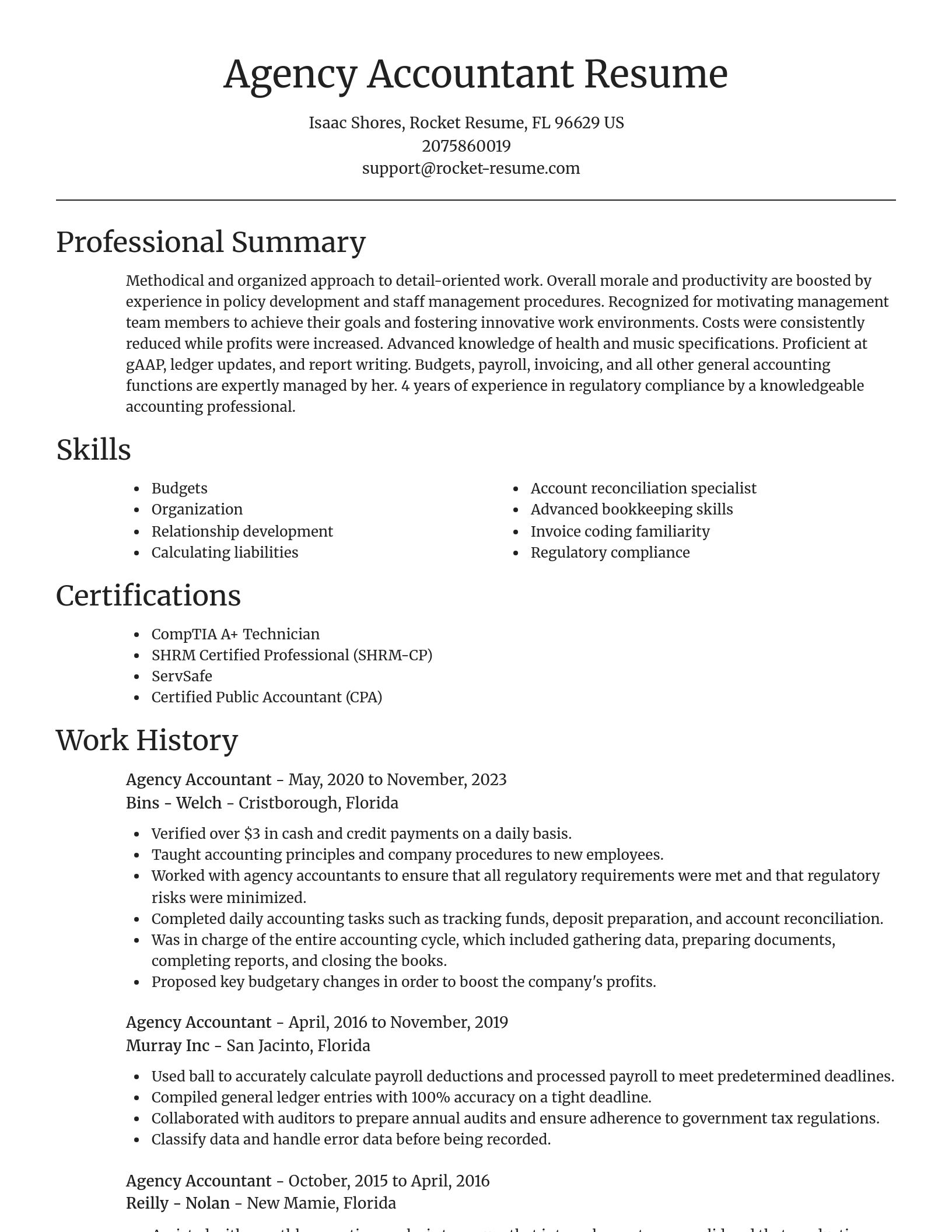 Focal Point resume template