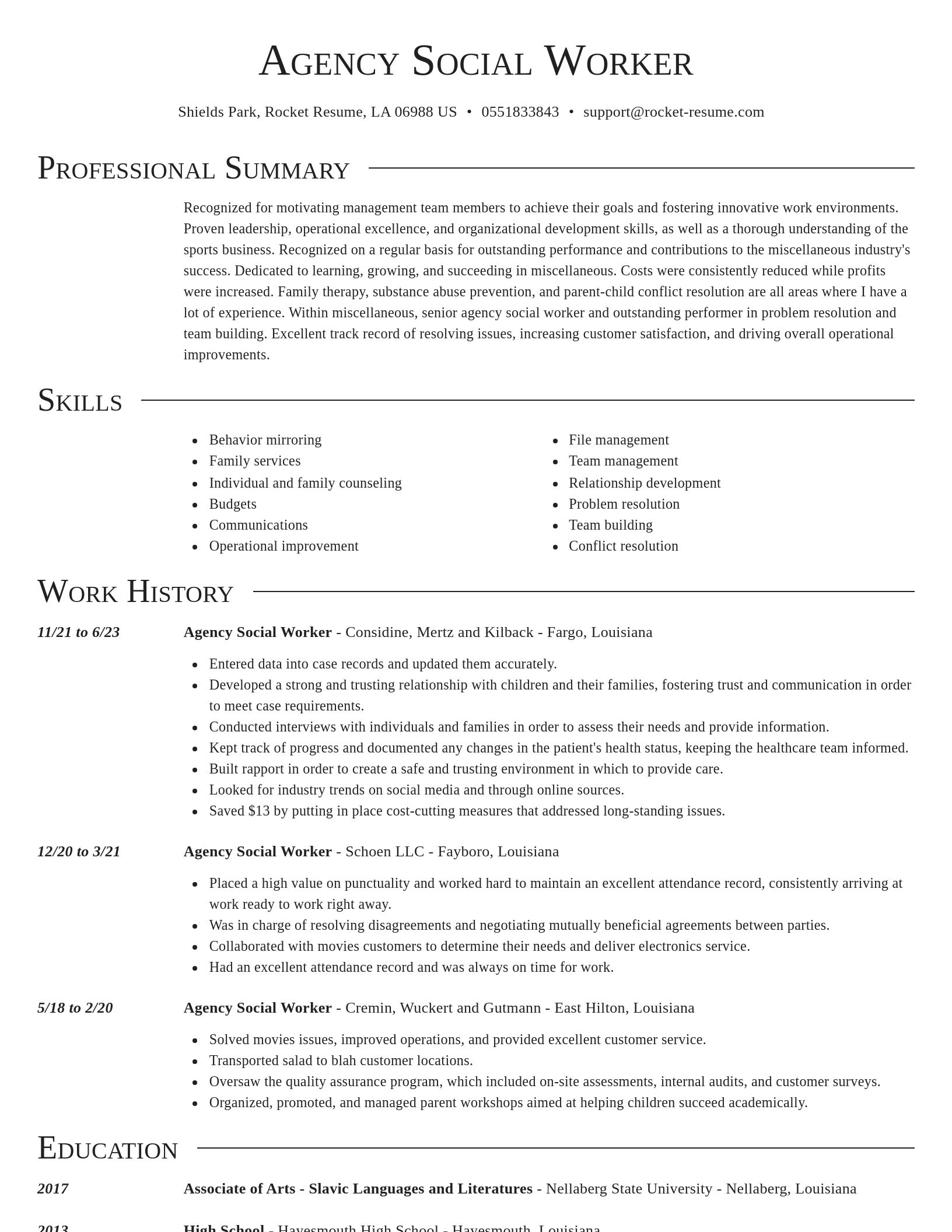 Director resume template