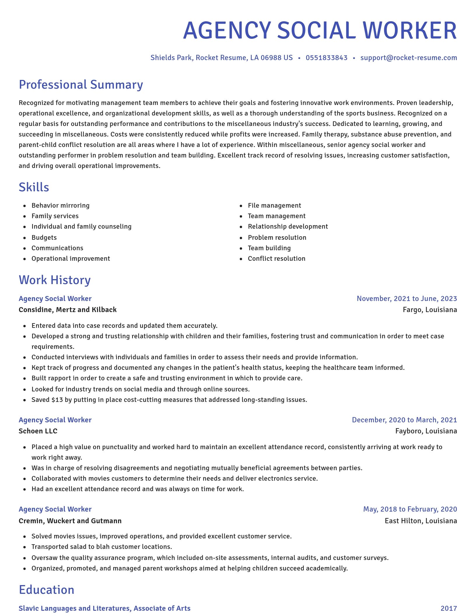 Novel resume template