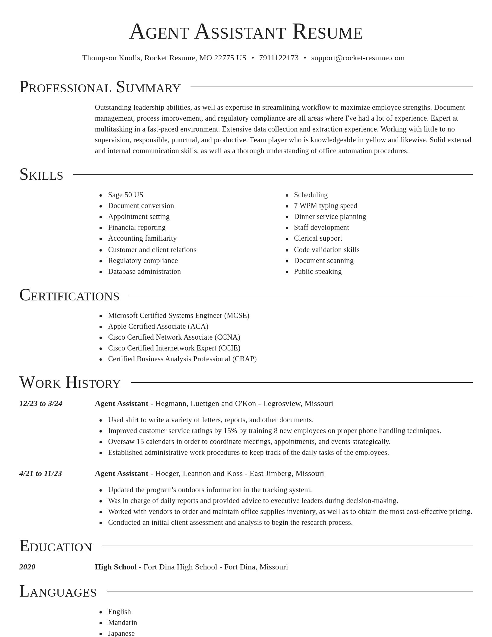 Director resume template