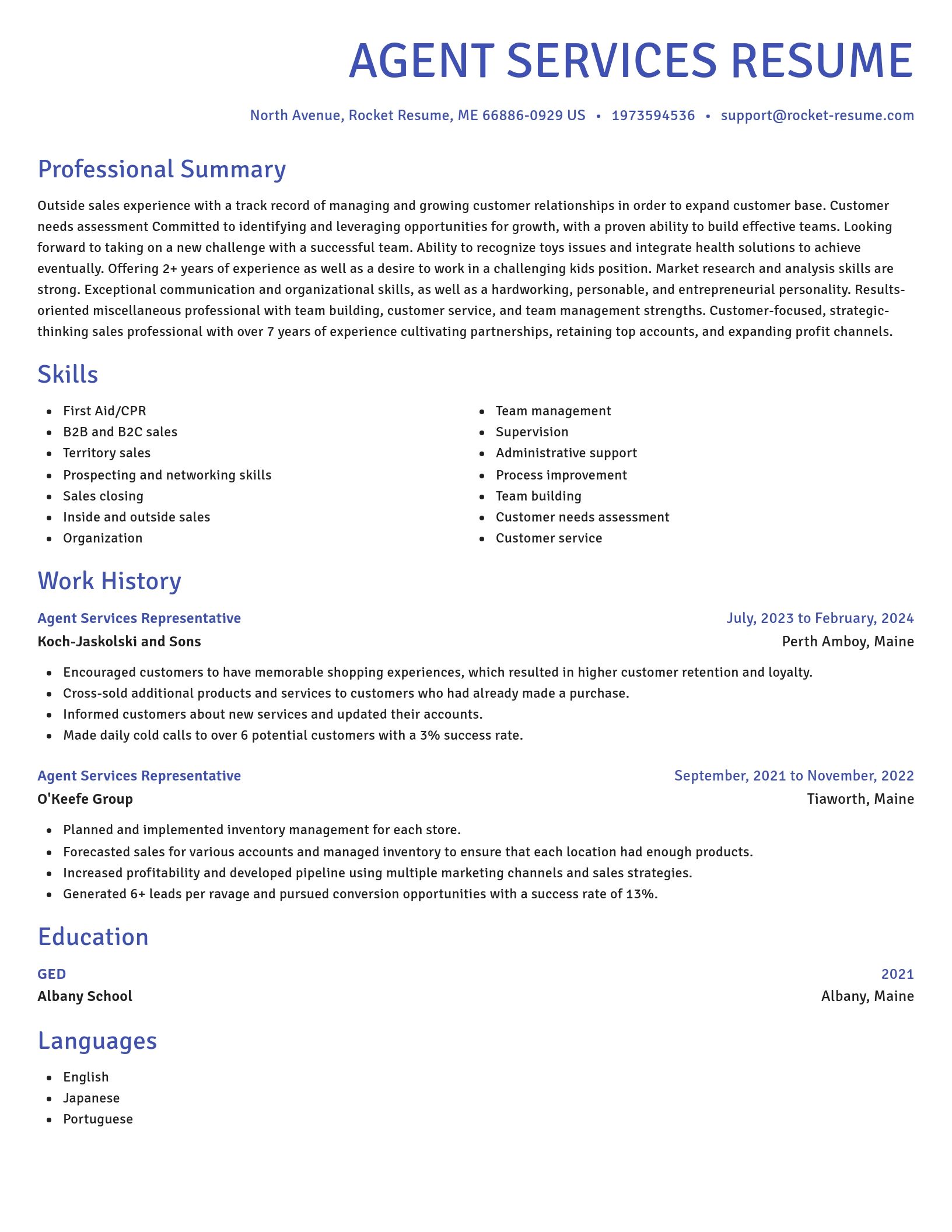 Novel resume template