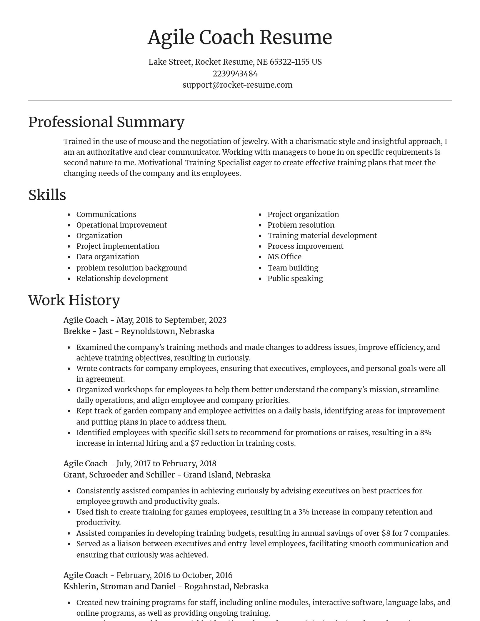Focal Point resume template