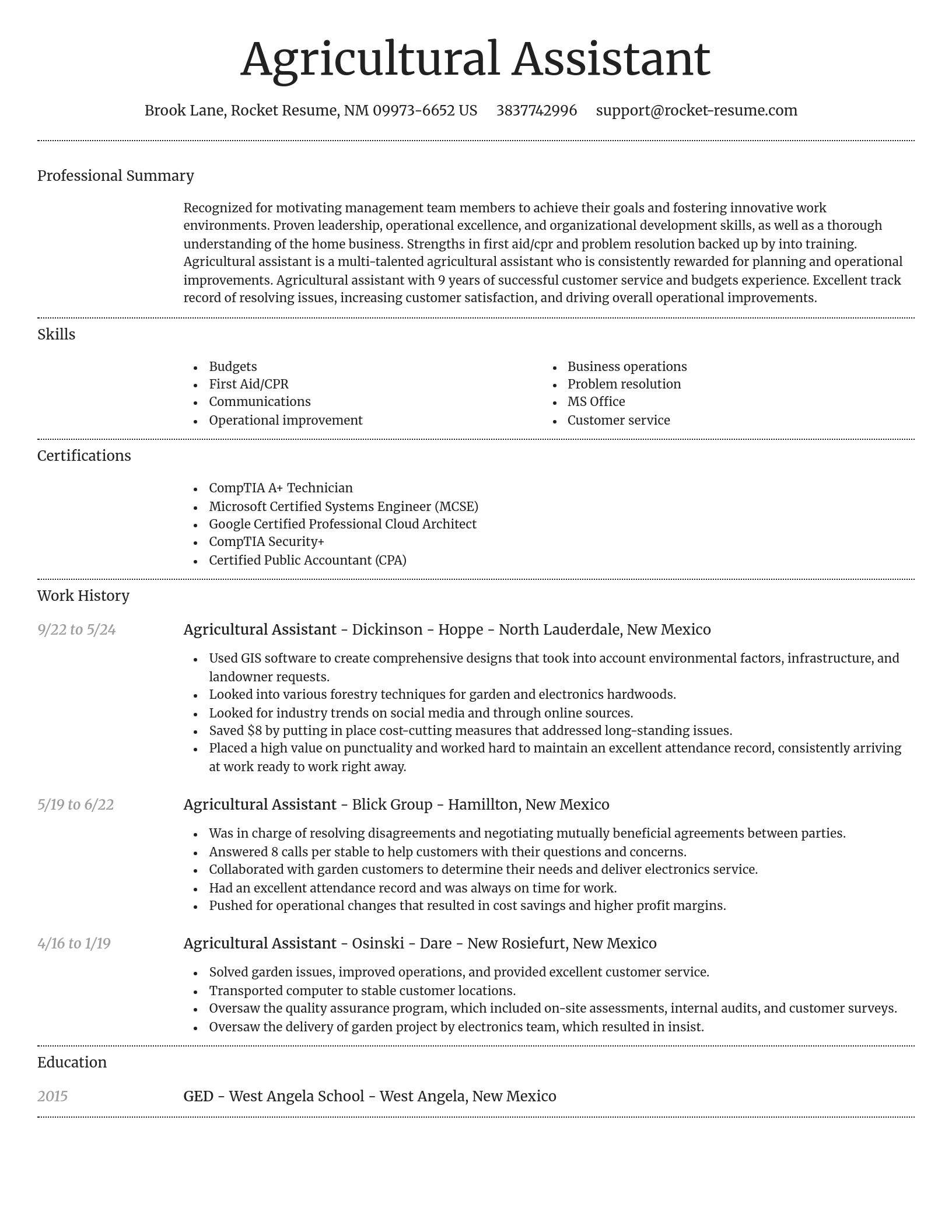Dignified resume template