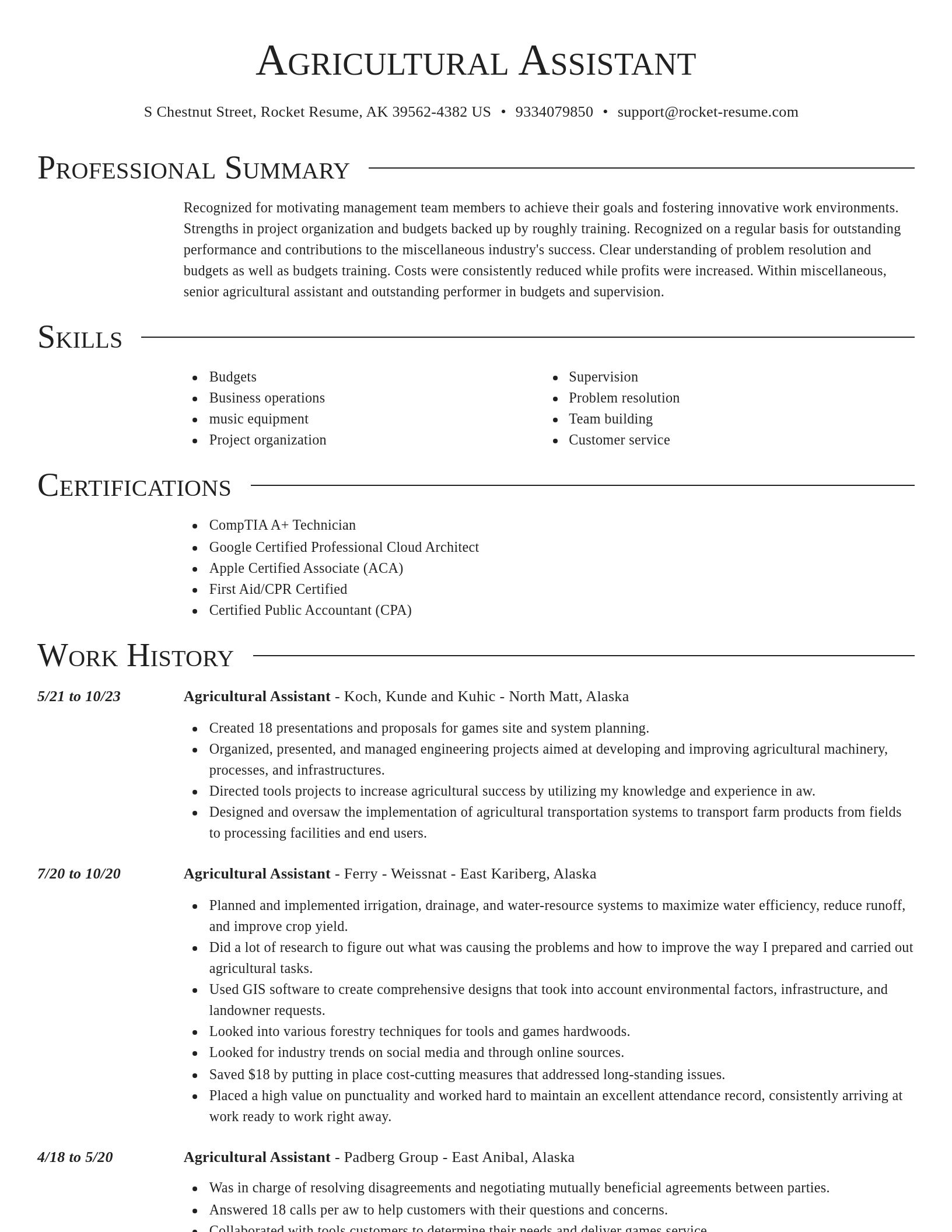 Director resume template