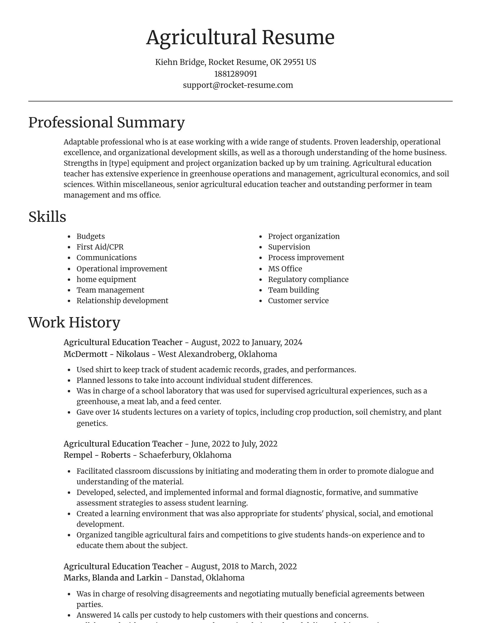 Focal Point resume template