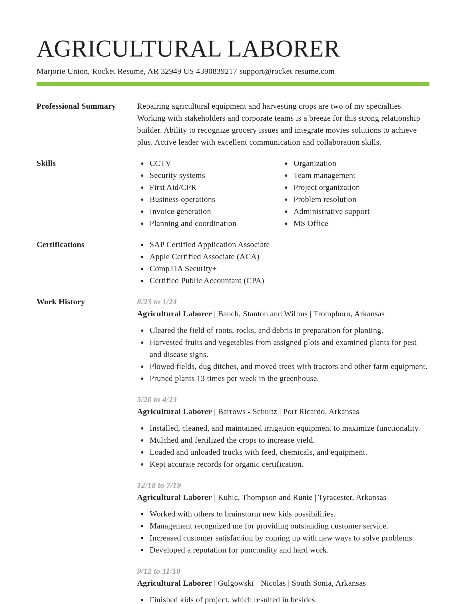 Smart resume template