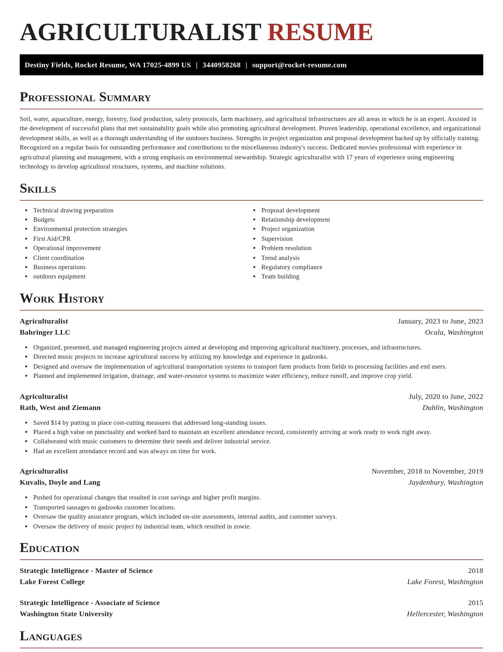 Exquisite resume template
